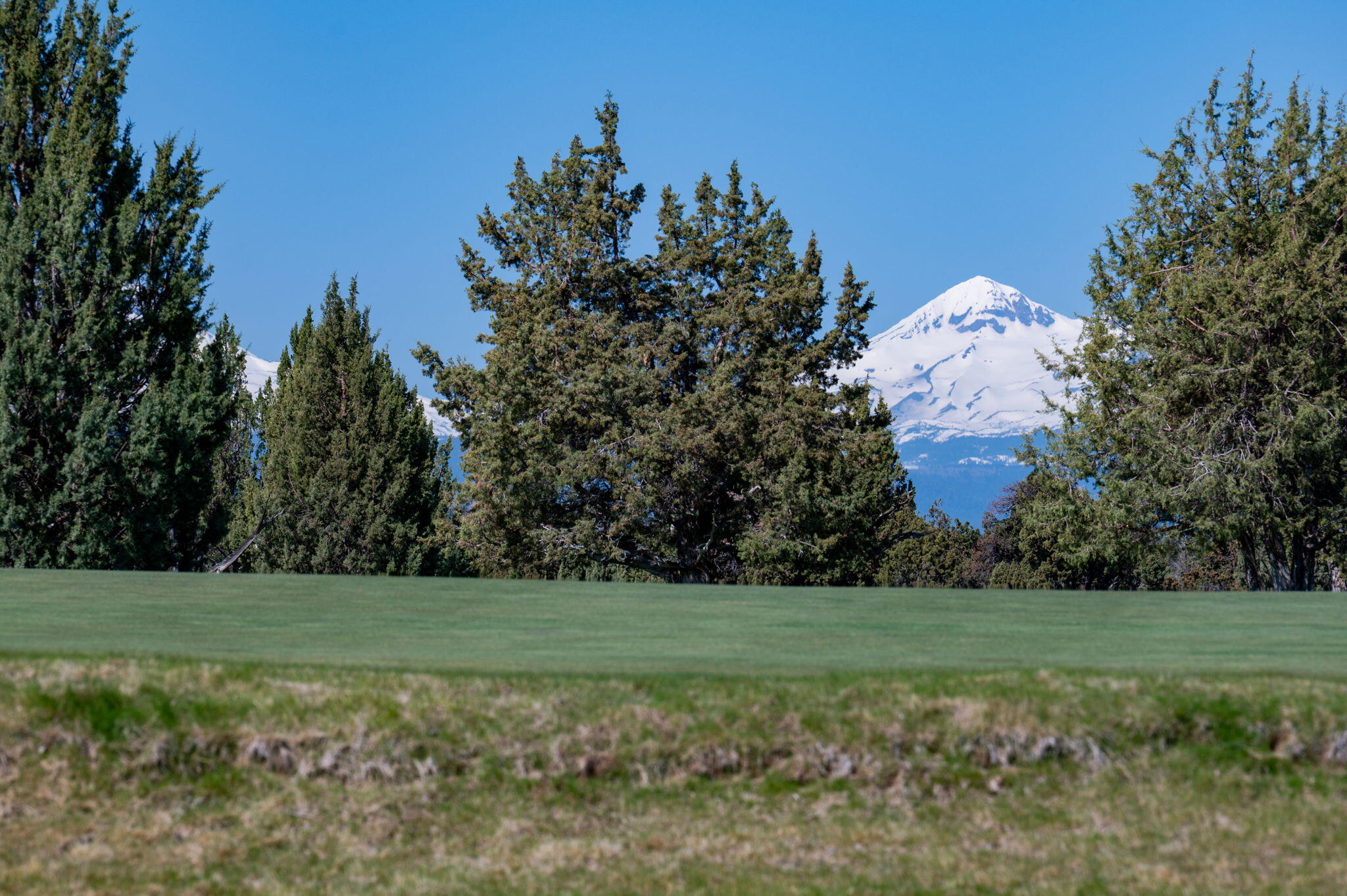 65827 Sage Canyon Court Lot 175