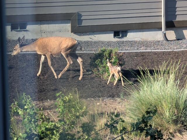 Eagle Crest - Residential