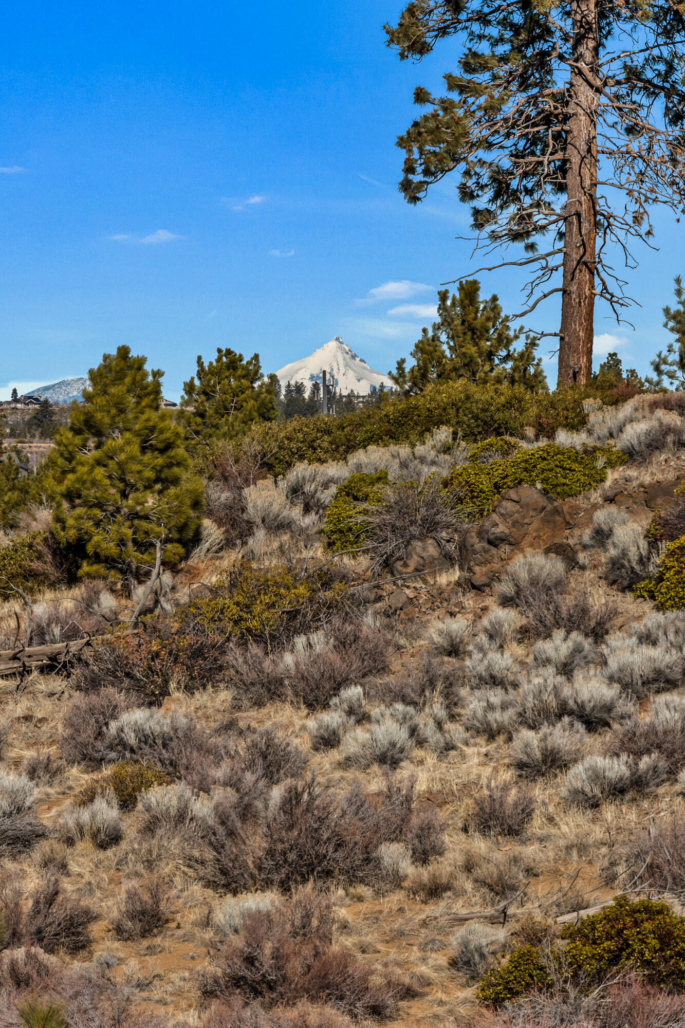 Tetherow - Residential