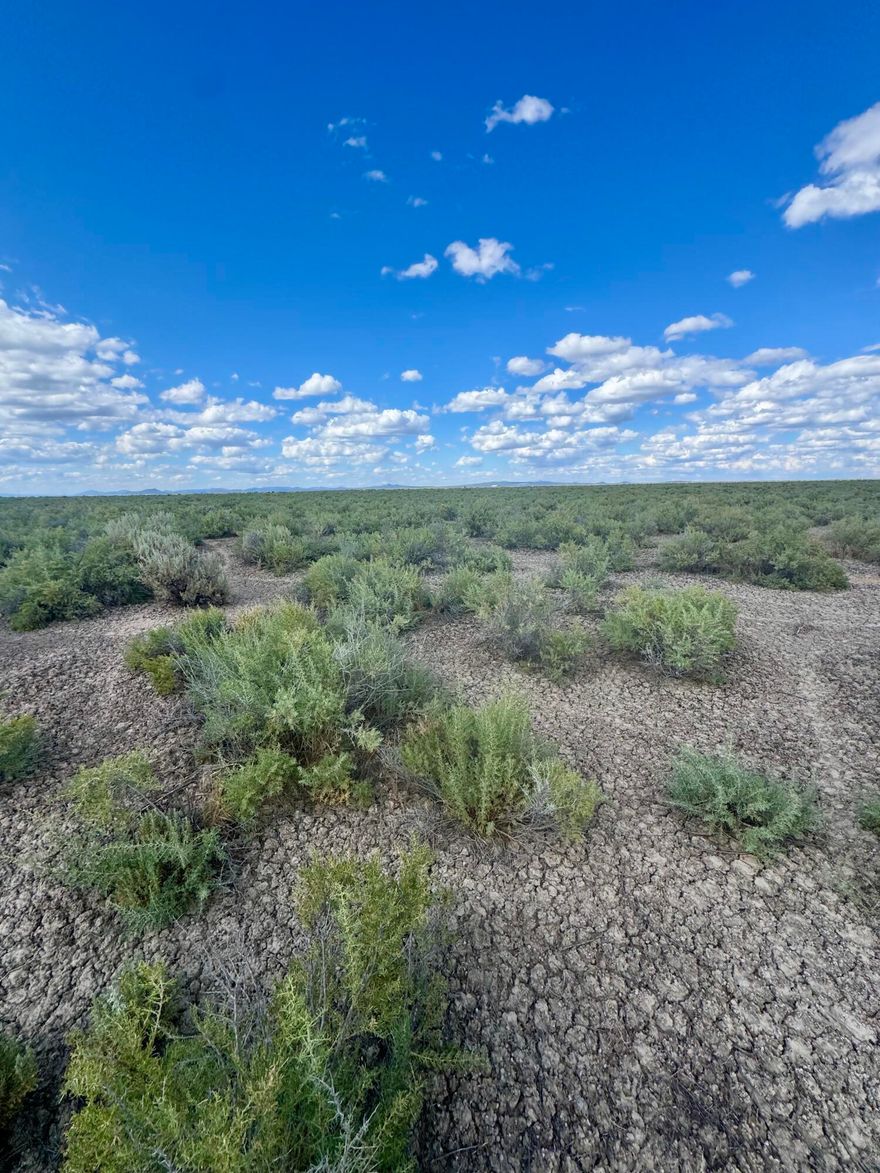 20 acres zoned A-2 in Christmas Valley. Remote, quiet, with great views of the mountains. The closing of the property will be conditioned at the discretion of the Trustee, or either (i) court approval; or a (ii) notice of proposed action (''NOPA'') being delivered to all beneficiaries and contingent beneficiaries and no party objecting to same.  Buyers to do their own Due Diligence- property is being sold ''as is where is''.