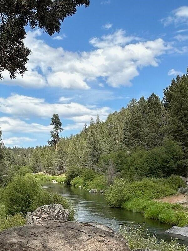 Desc Rvr Hmst Rimrk - Residential