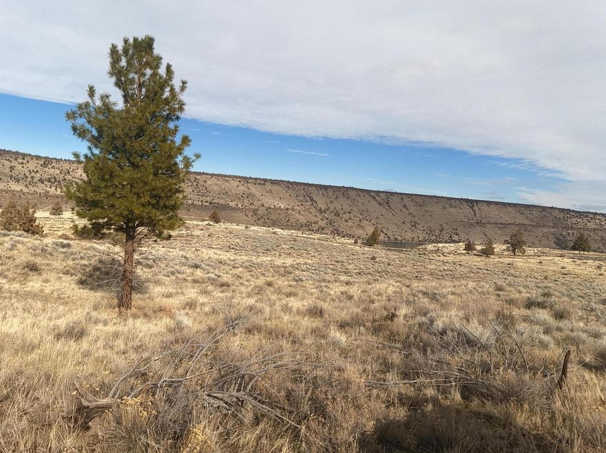 Rare opportunity for new properties in 3 Rivers with access to Lake Billy Chinook. Only 9 total, buildable lots that will not last long. Some have lake and mountain views while other have mountain and territorial views but all have panoramic views! 3 Rivers is a gated community so you must make arrangements for access and the properties are being shown BY APPOINTMENT ONLY! Lot is approved for building under TRRAR zoning. Property is totally Off-the-Grid. County has approved septic possibilities. Lots range from 3.26 acres to 5 acres each. This development that is within 3 Rivers has additional CC&R's. Call your favorite agent for make an appointment to view.  Property is part of Measure 37-49, buyer to have build completed by 4/1/2032. Buyer to do their own ''due diligence''