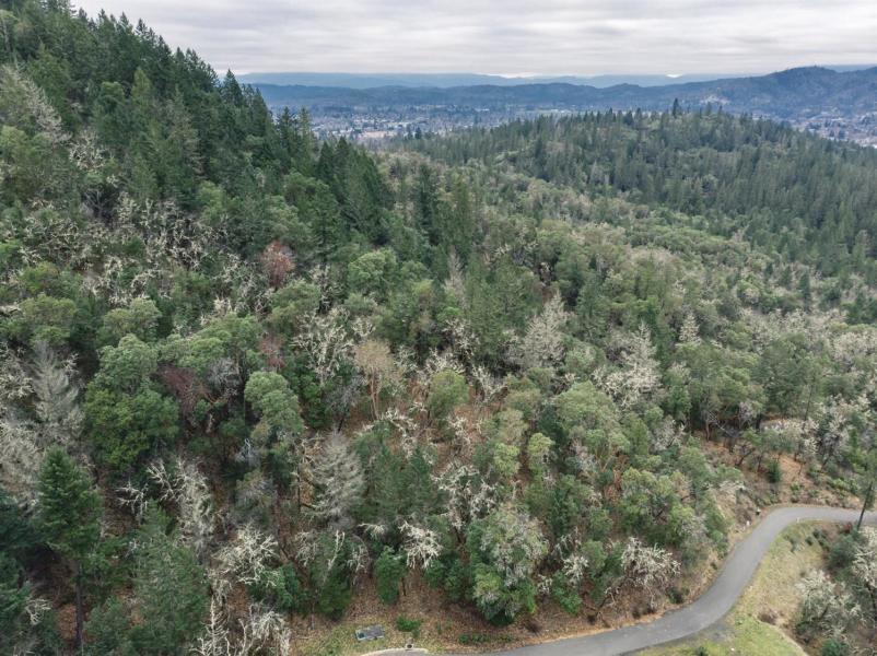 Larkin Heights (pud) - Land