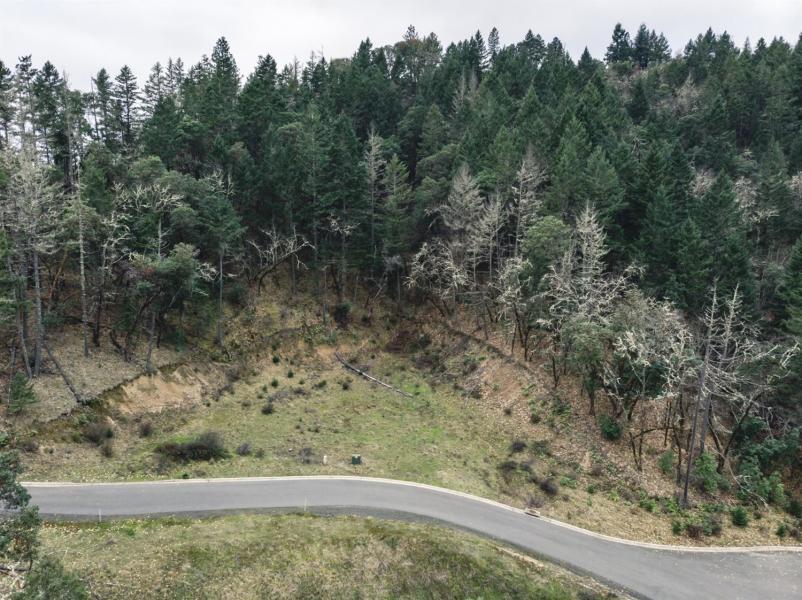 Larkin Heights (pud) - Land