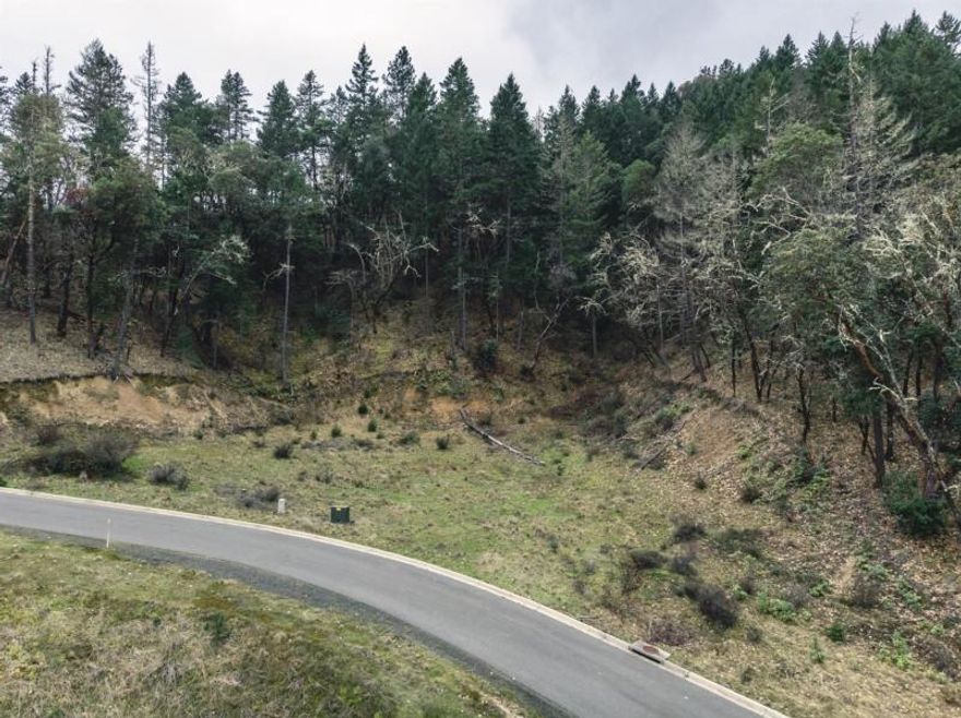 Welcome to a private community of Larkin Heights. One of two reminding lots with amazing views of Grants Pass. This prime lot gives you the opportunity to bring your own builder for a custom home in  a unique community.  Property has water and power pulled to property line. Great opportunity to have privacy and seclusion.