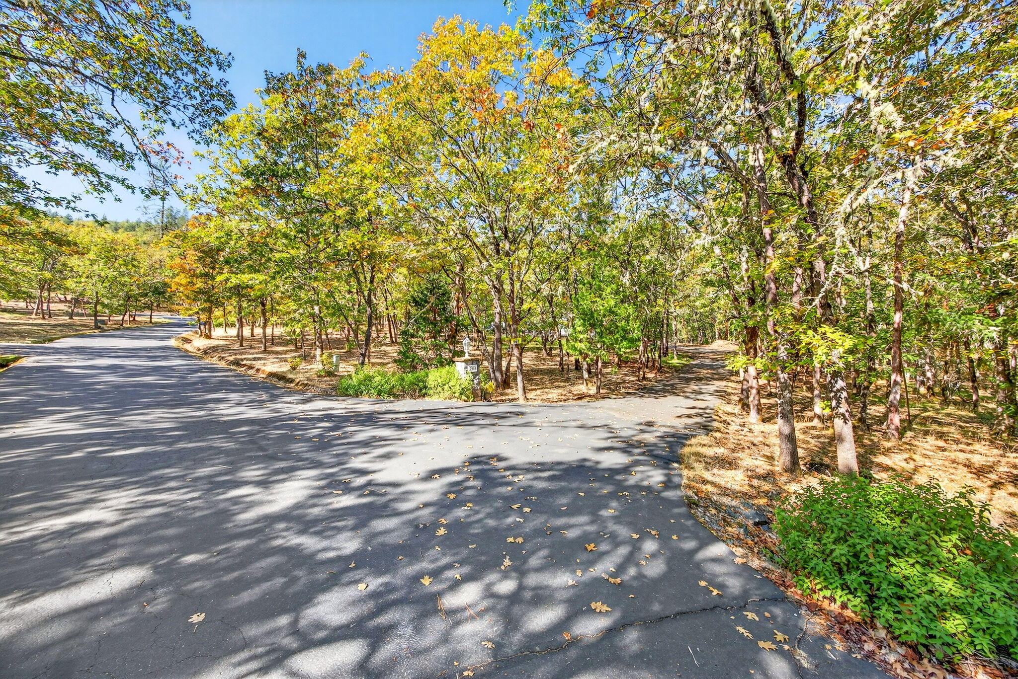 Wildrose - Residential