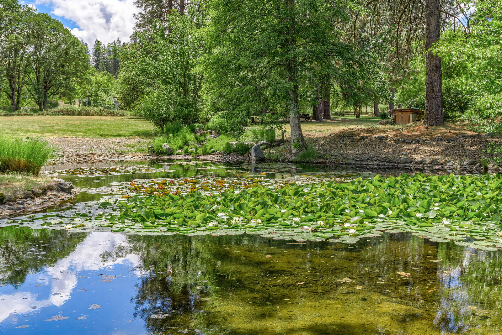 Wildrose - Residential