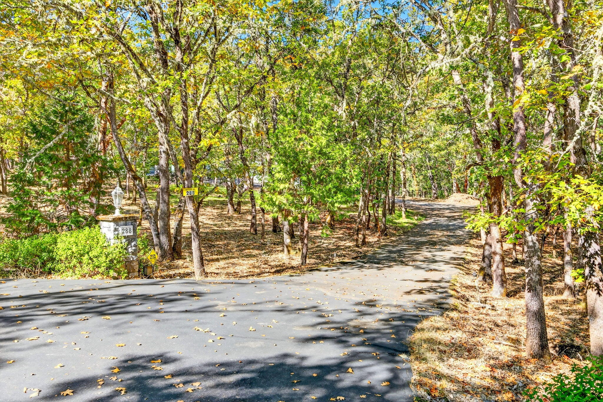 Wildrose - Residential