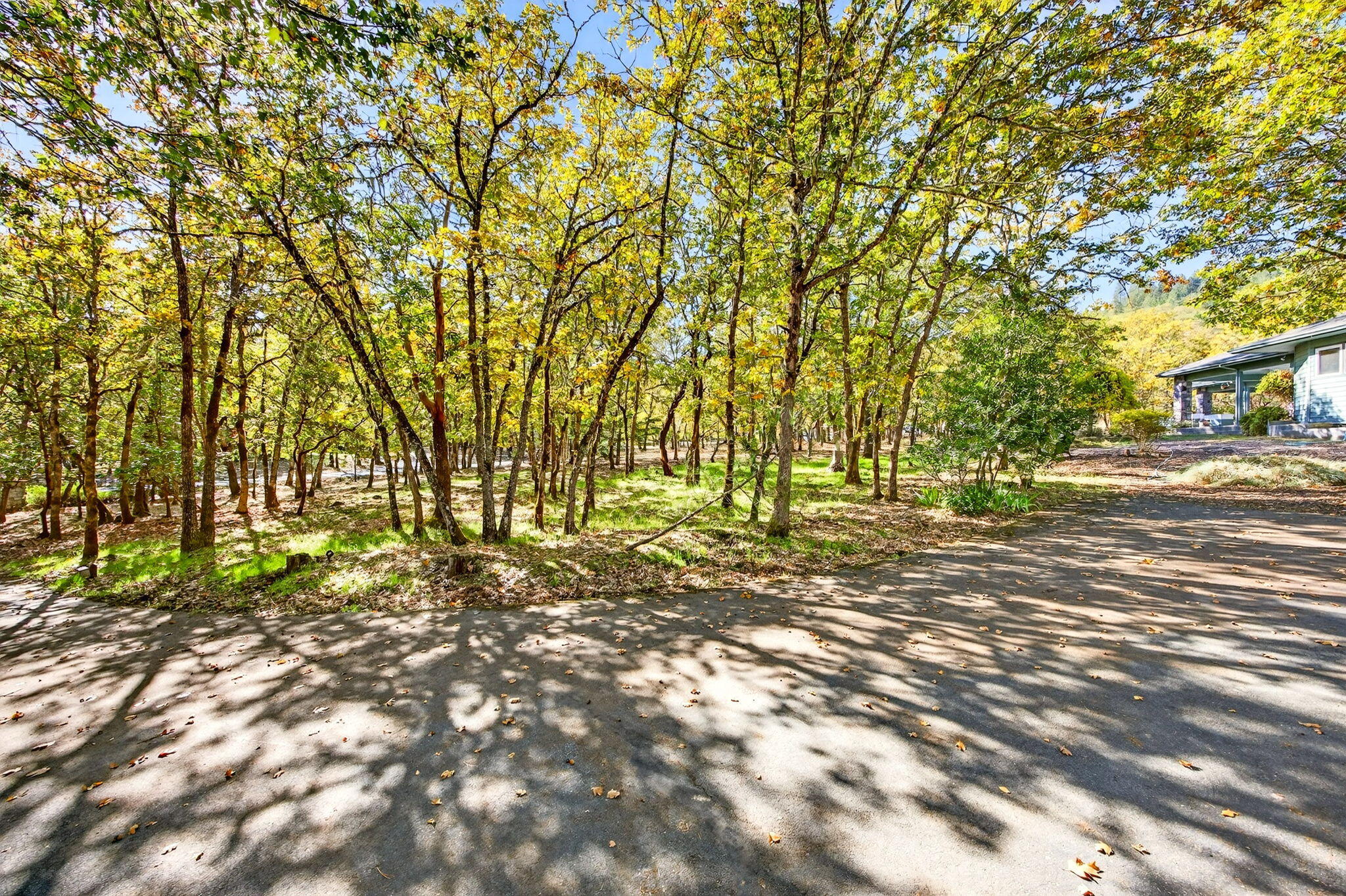 Wildrose - Residential