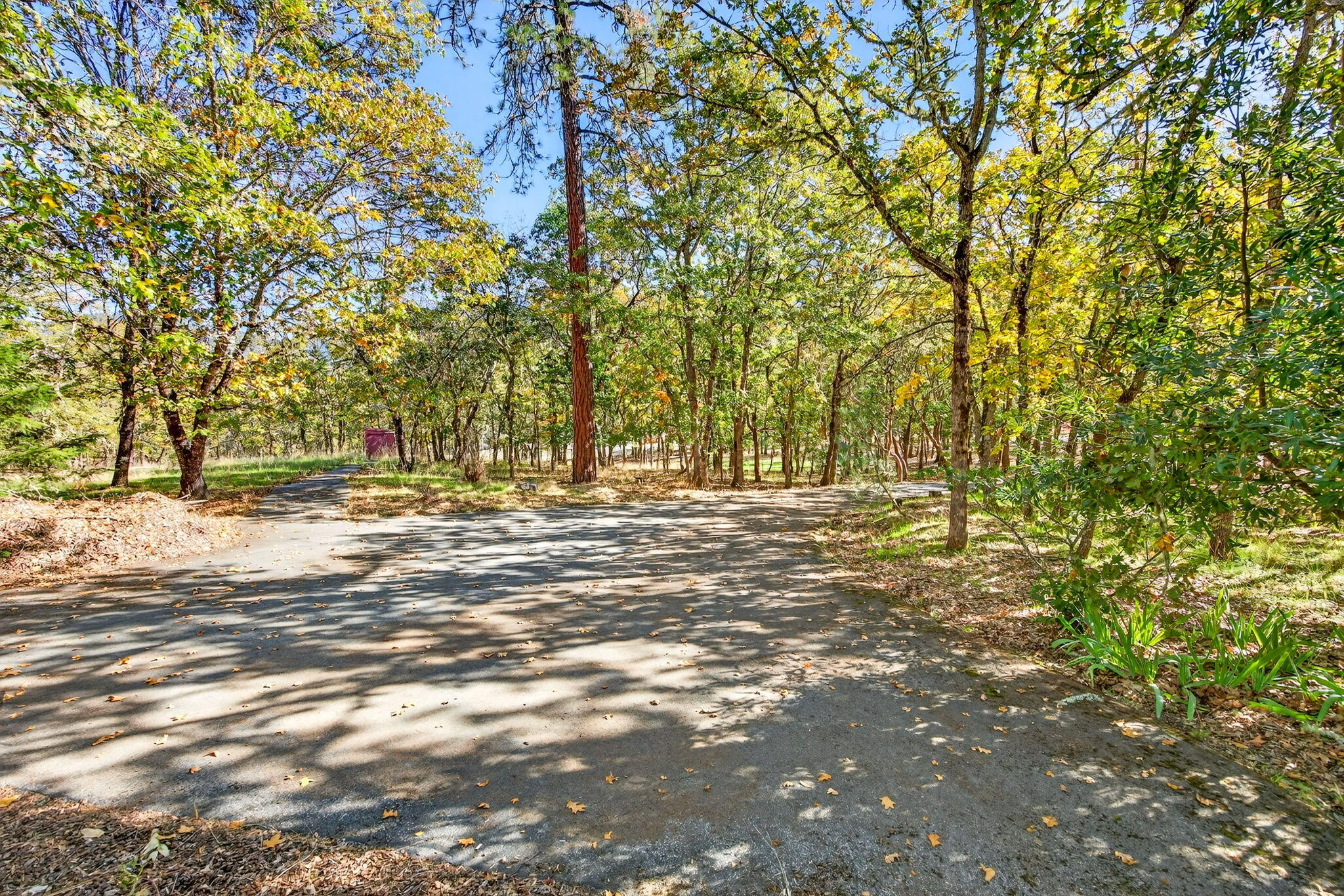 Wildrose - Residential