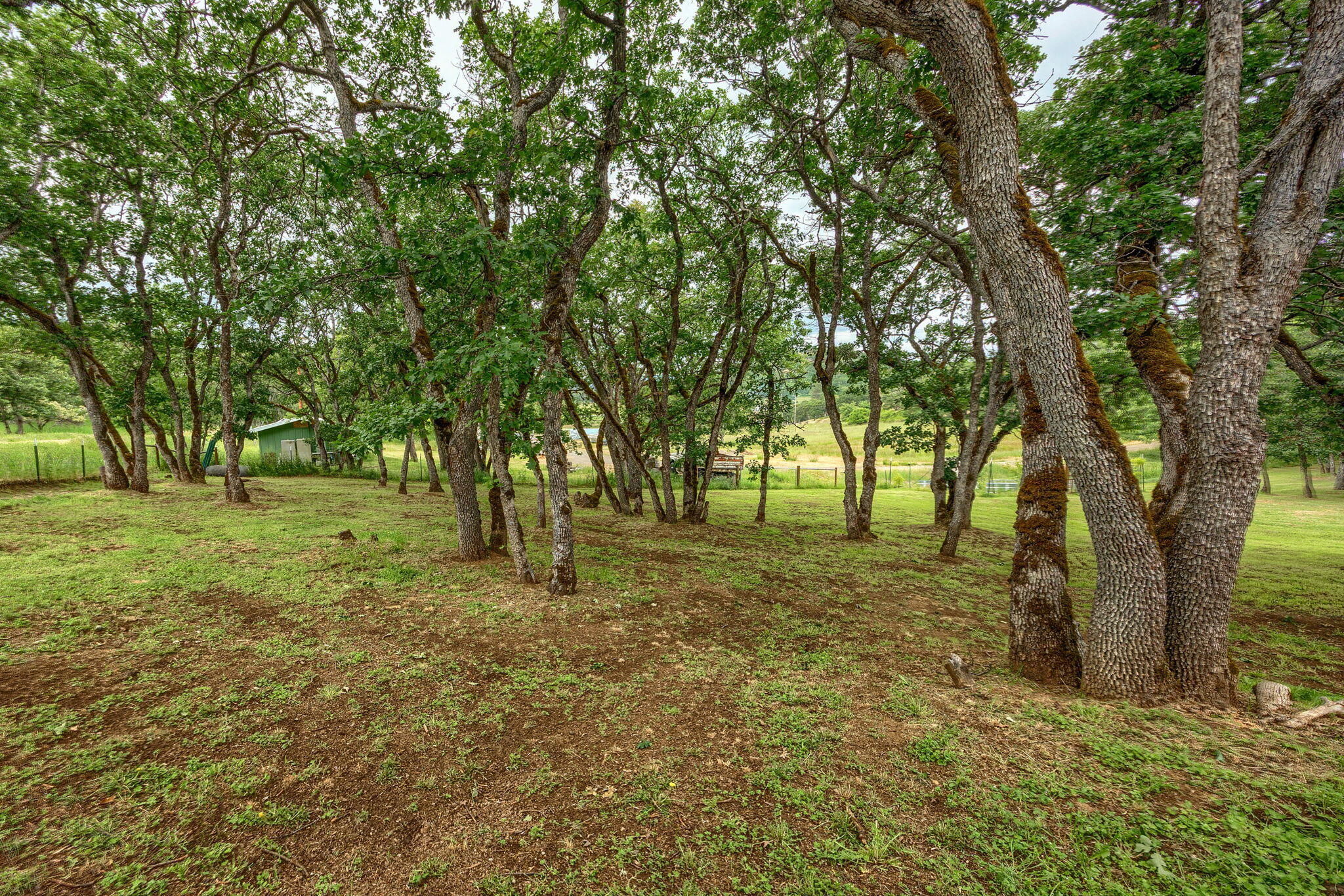 Crystal Springs Orchard Tracts - Residential
