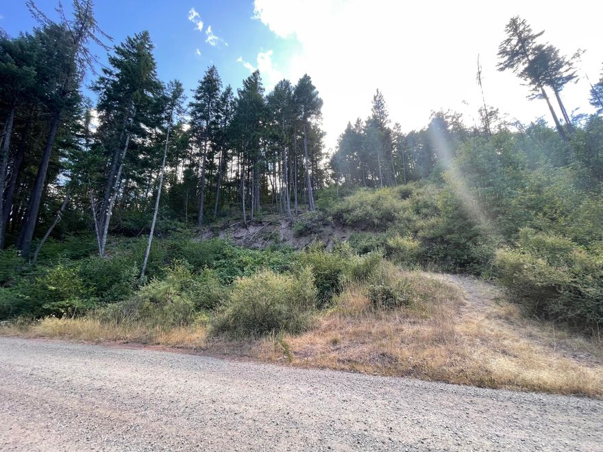 20-acre sloped, forested parcel located in the scenic Trail, OR area. Zoned OSR (Open Space Reserve), offering potential for recreation, conservation, or low-impact development. Check with Jackson County for Home Site Development process. An adjacent 80-acre parcel is also available and can be combined for expanded use or access. (MLS# 220208403)