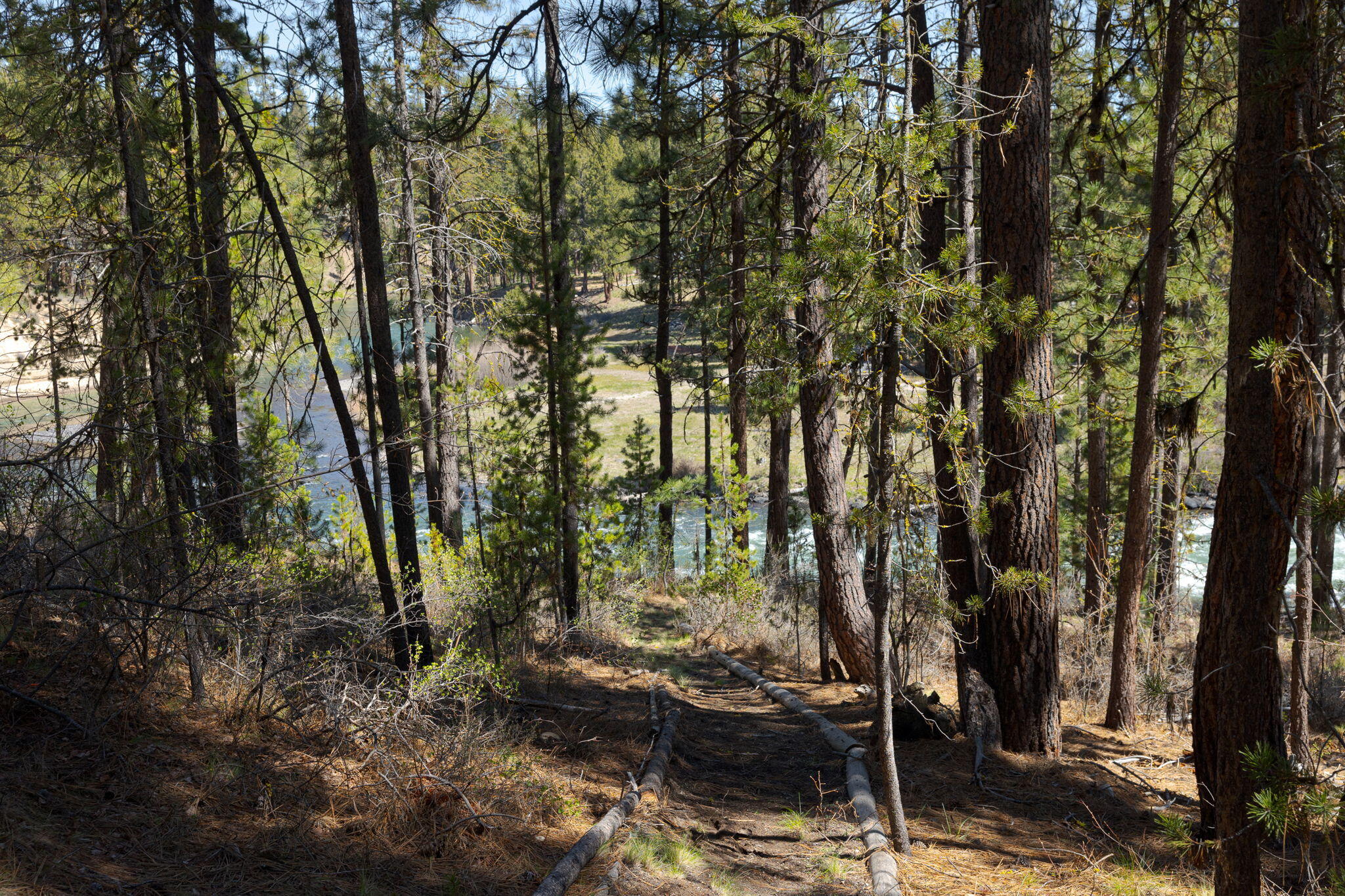 Wild River - Residential