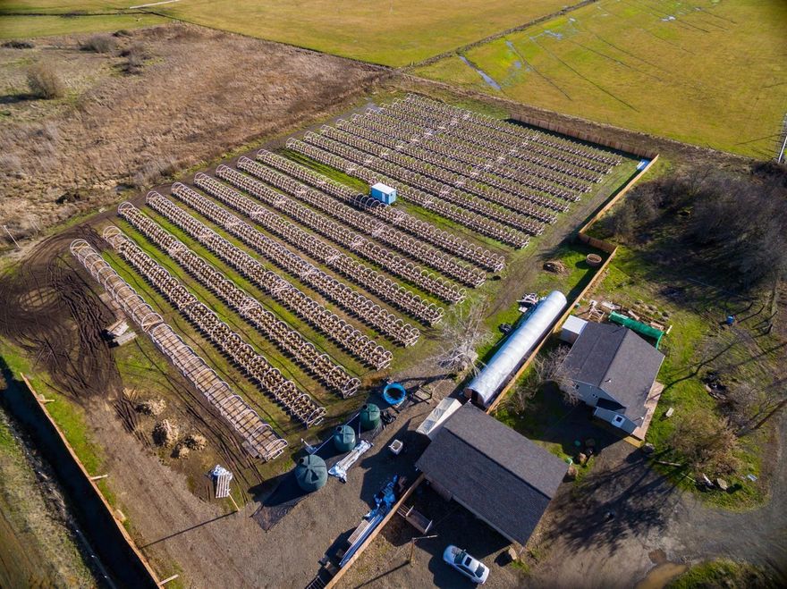 Property is zoned EFU and is set up for 40,000 square feet of light deprivation in hoop houses. Fixed underground irrigation system is installed with pumps and tanks. also included is a 30'x36' general purpose building. Seller has contracted with the City of Central Point for water for this year. Currently using approximately half of the property so there is room for significant expansion. Owner has a recreational license in process which the new owner could submit application to assume.Flat level farm land with updated 3 bedroom, 1 bath home with double pained vinyl windows, hickory cabinets in the kitchen, heat pump unit, newer roof and paved access. Owner terms available with significant down, favorable credit report and financial statement.