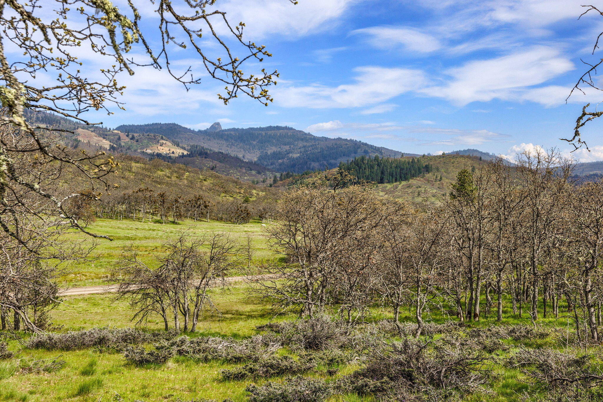 1907 Colestin Road
