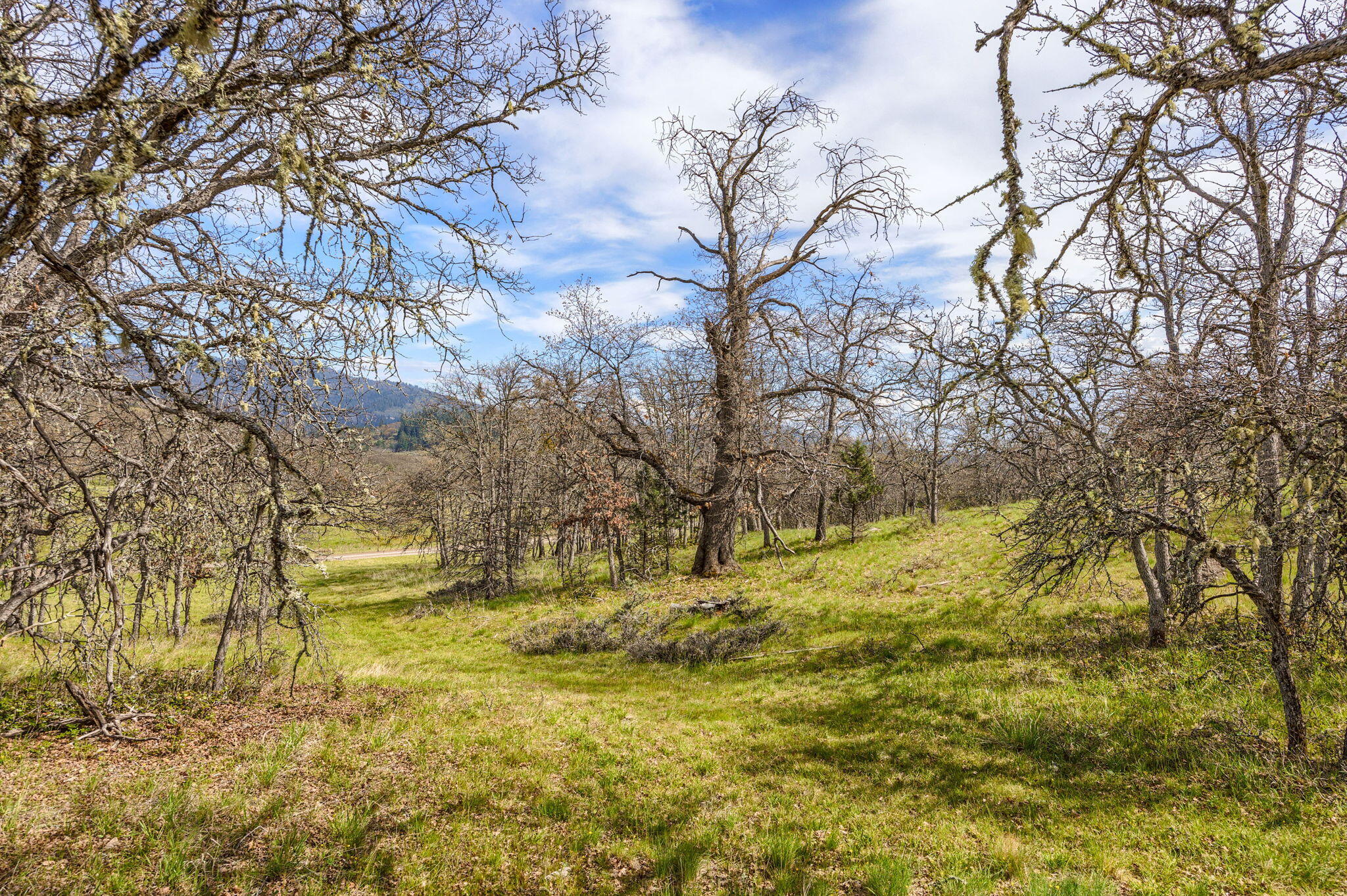 1907 Colestin Road