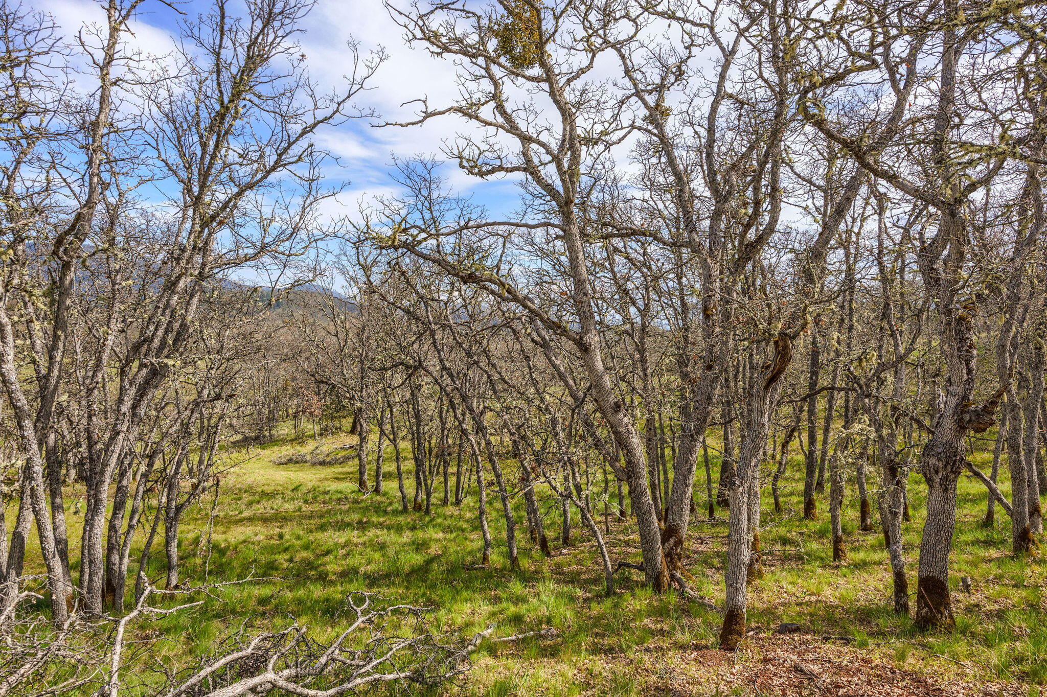 1907 Colestin Road