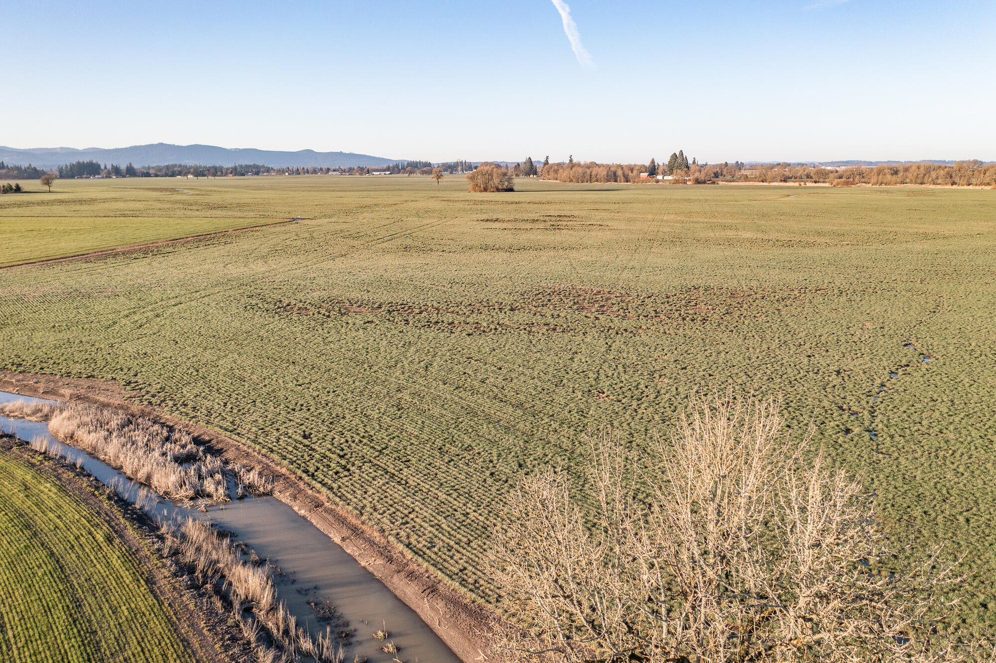 White Oaks Addition - Land