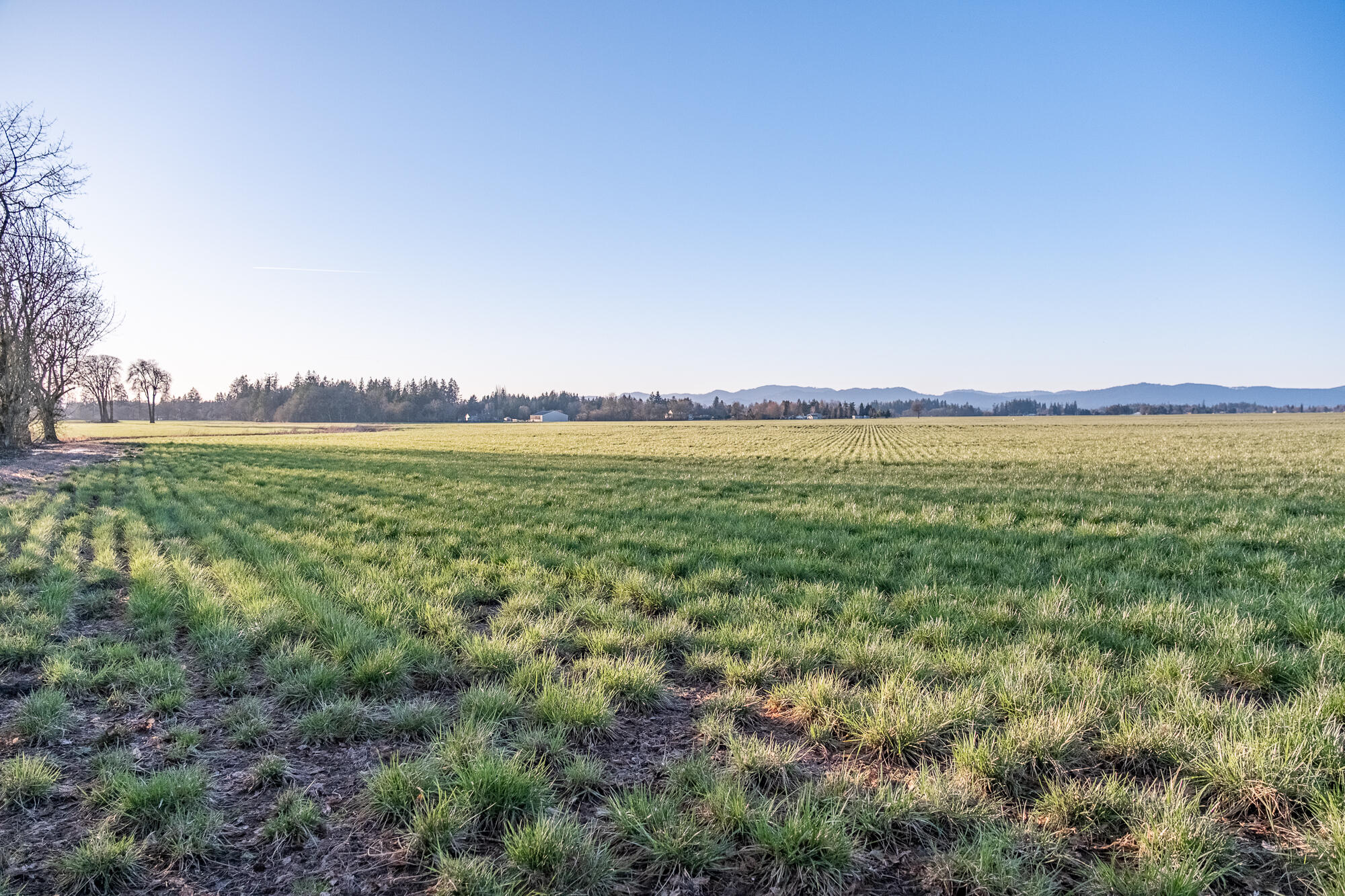 White Oaks Addition - Land