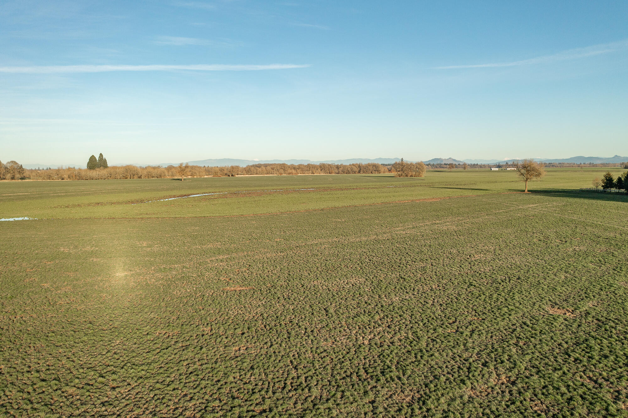 White Oaks Addition - Land