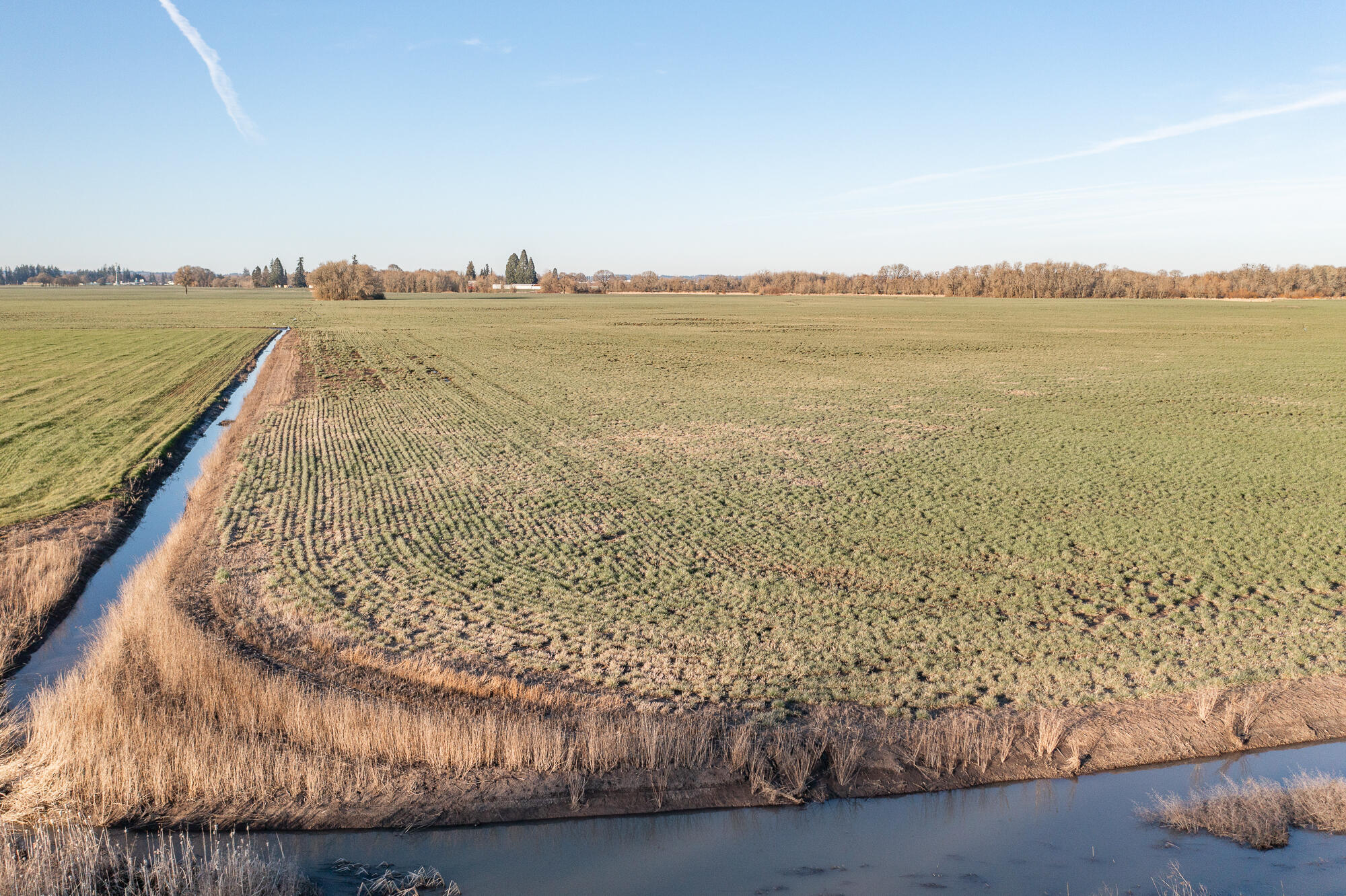 White Oaks Addition - Land