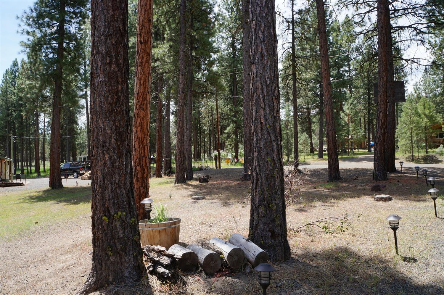 Pinecrest - Residential