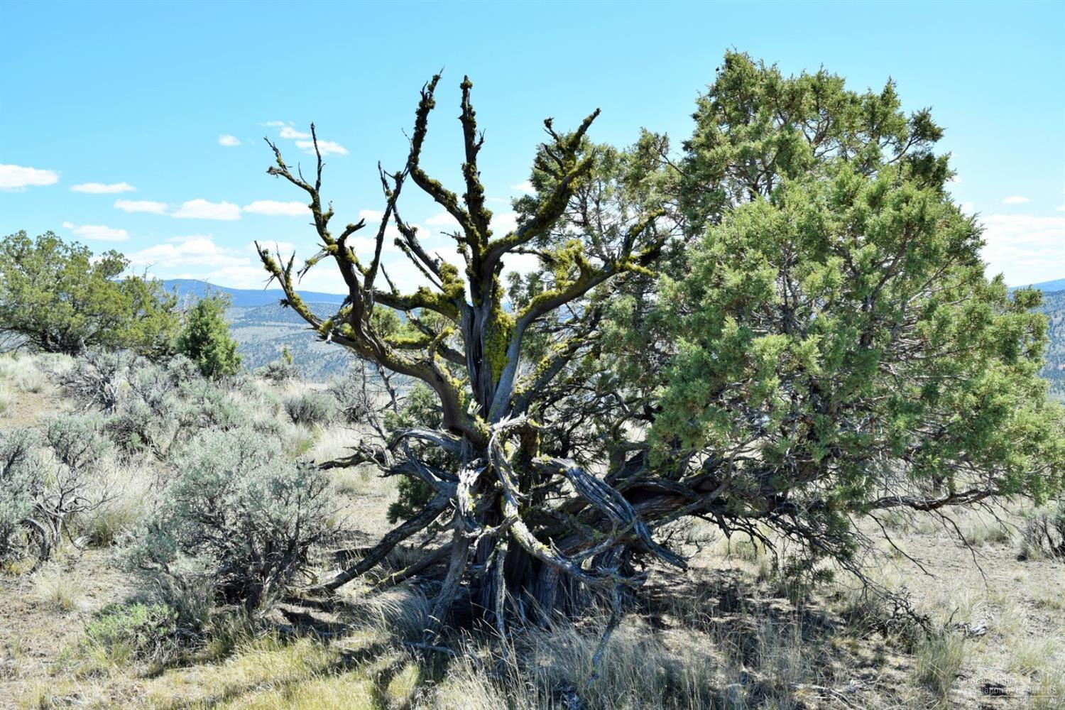 Indian Rock Estates - Land