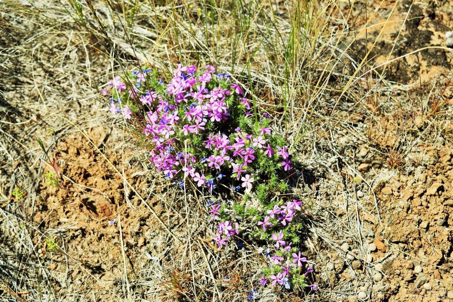 Indian Rock Estates - Land