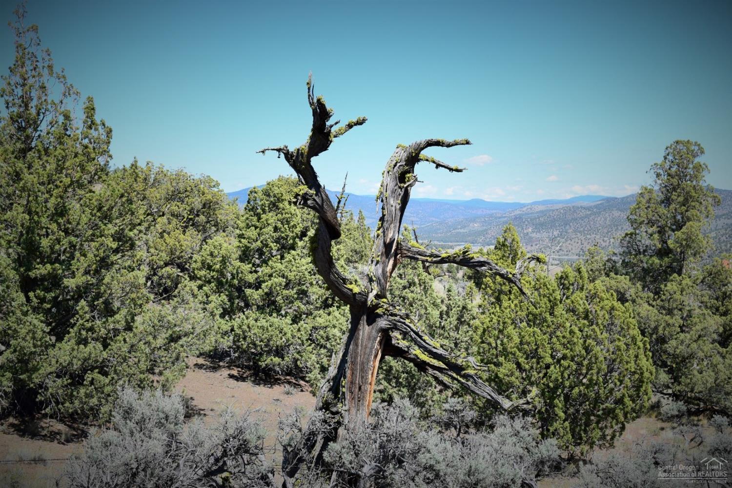 Indian Rock Estates - Land