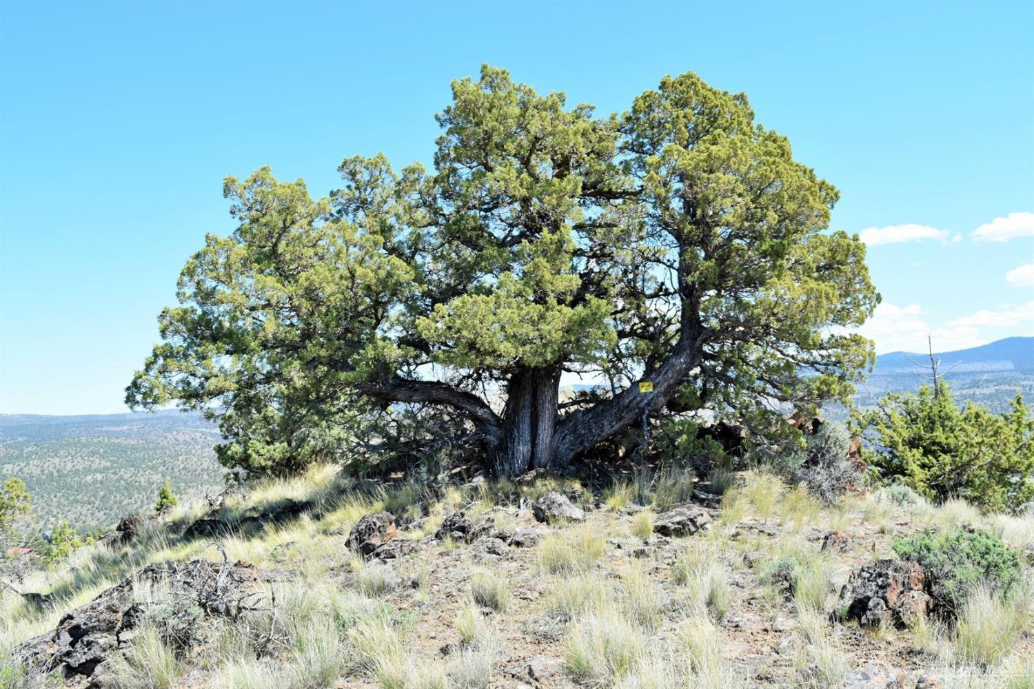 Indian Rock Estates - Land