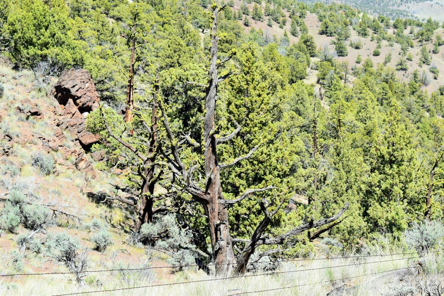 Indian Rock Estates - Land