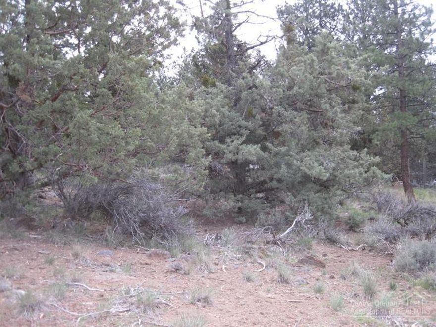 Wonderful sought after West side building lot! Build your dream home, very popular neighborhood. These will not last long.