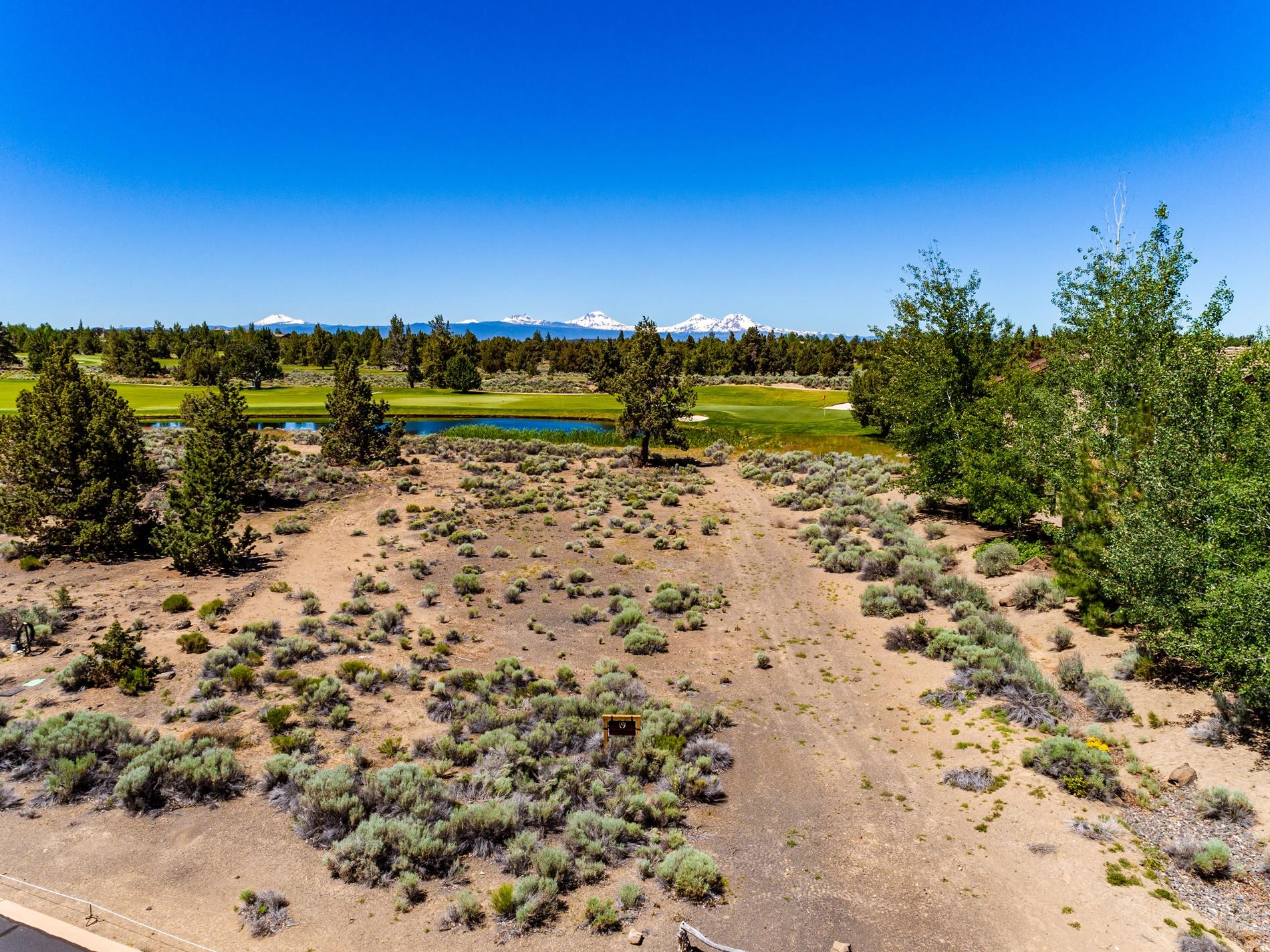 Pronghorn - Land