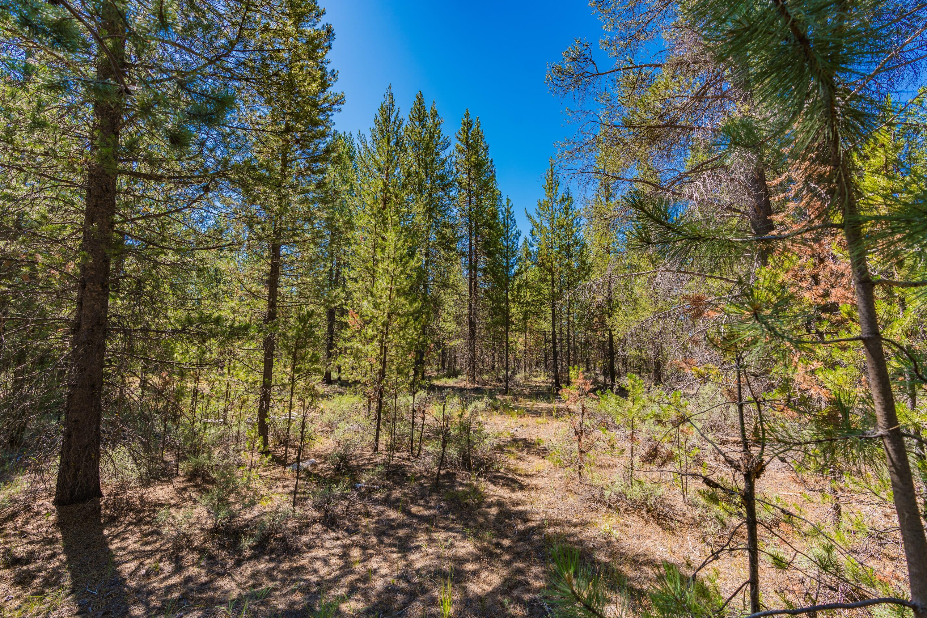 Cw Reeve Resort - Land