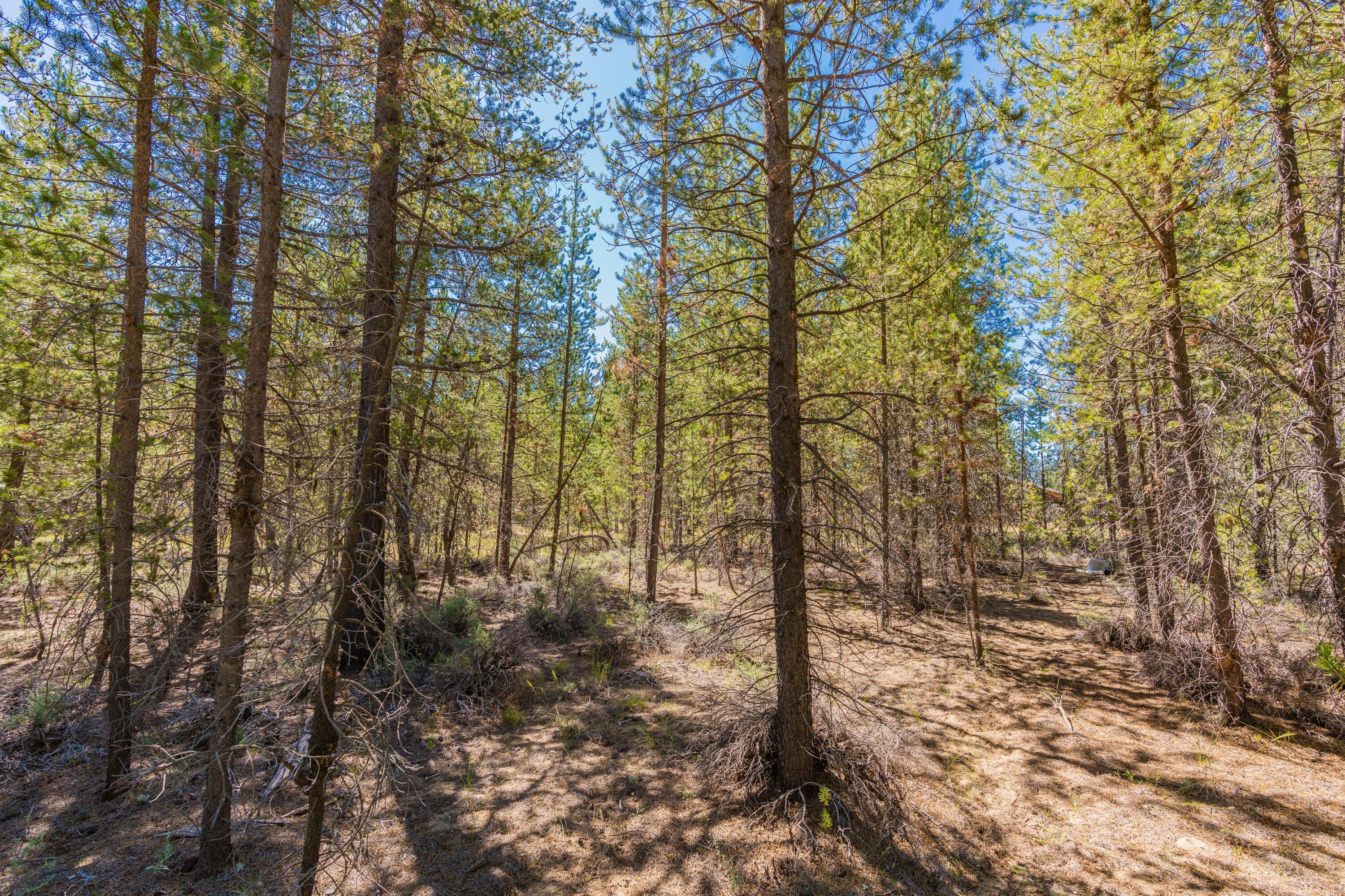 Cw Reeve Resort - Land