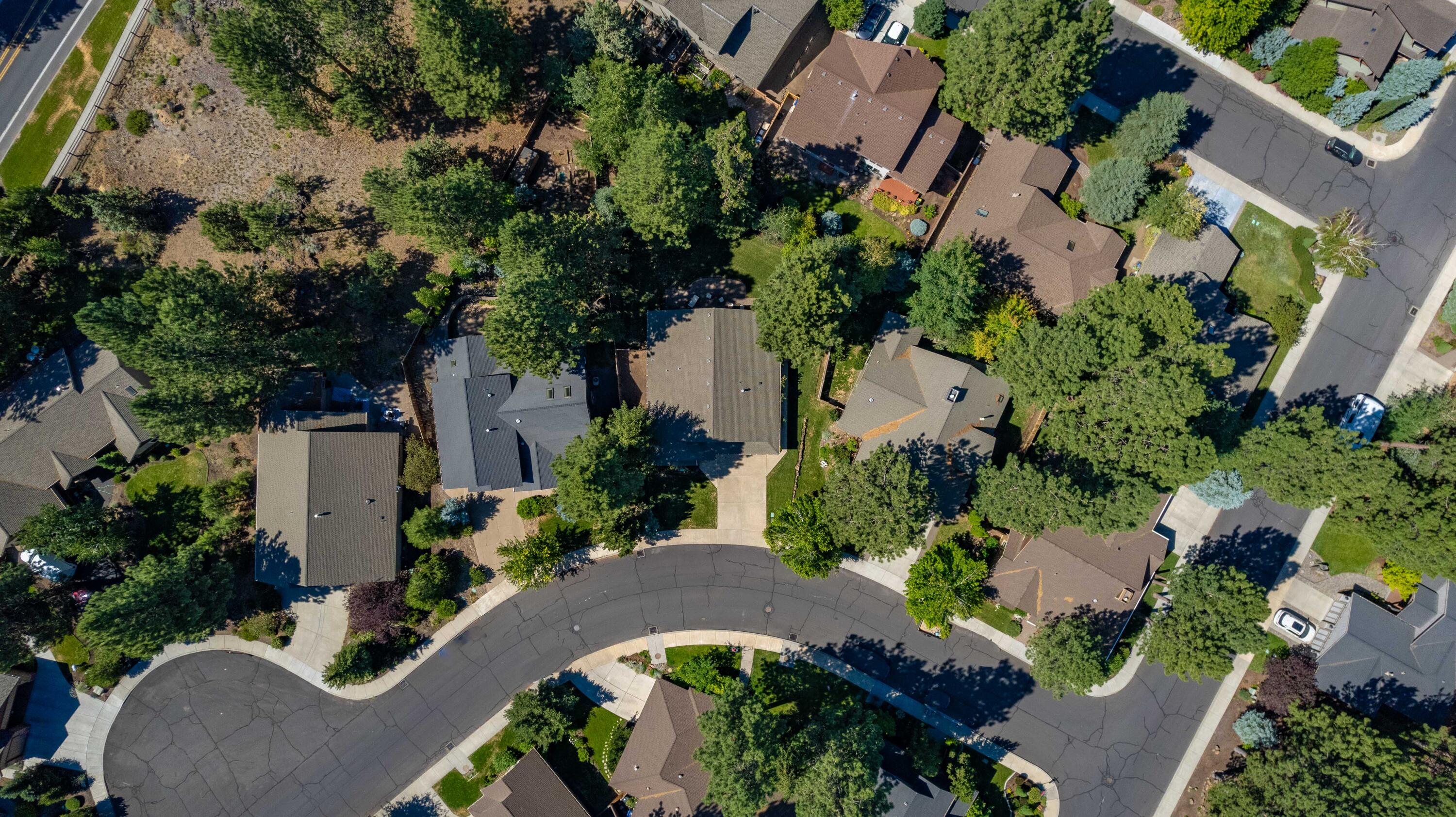 Mountain Pine - Residential