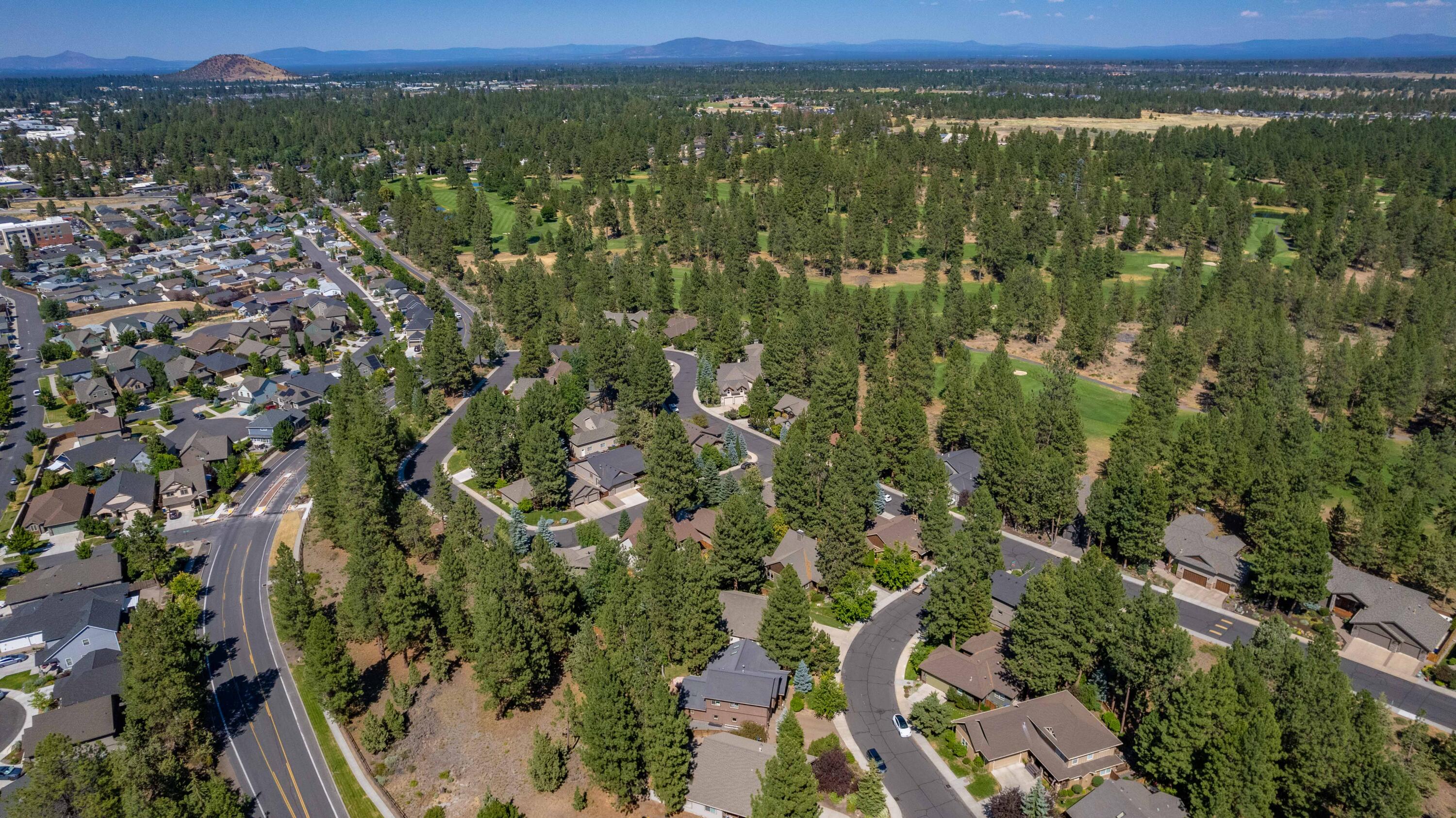 Mountain Pine - Residential