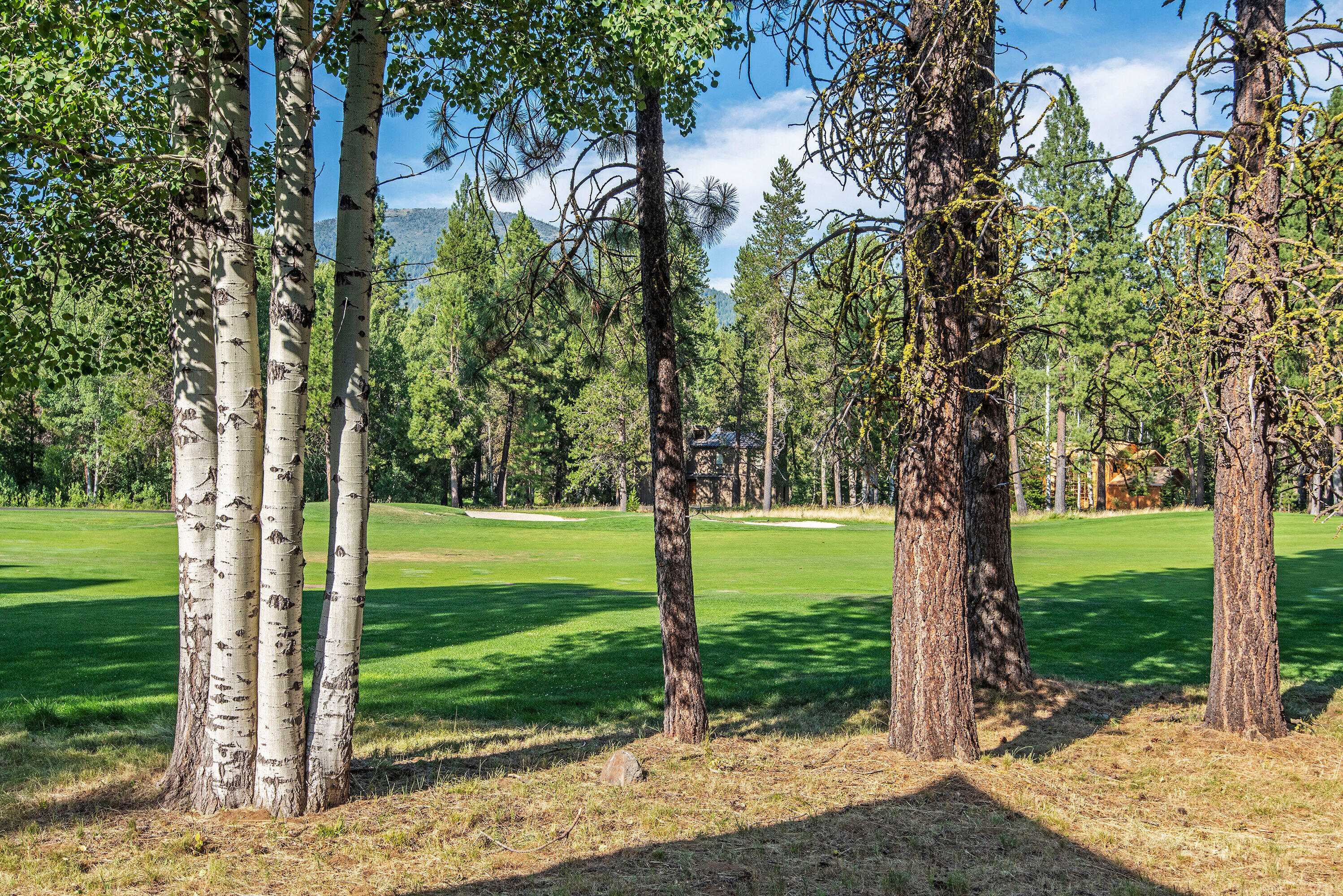 Black Butte Ranch - Residential