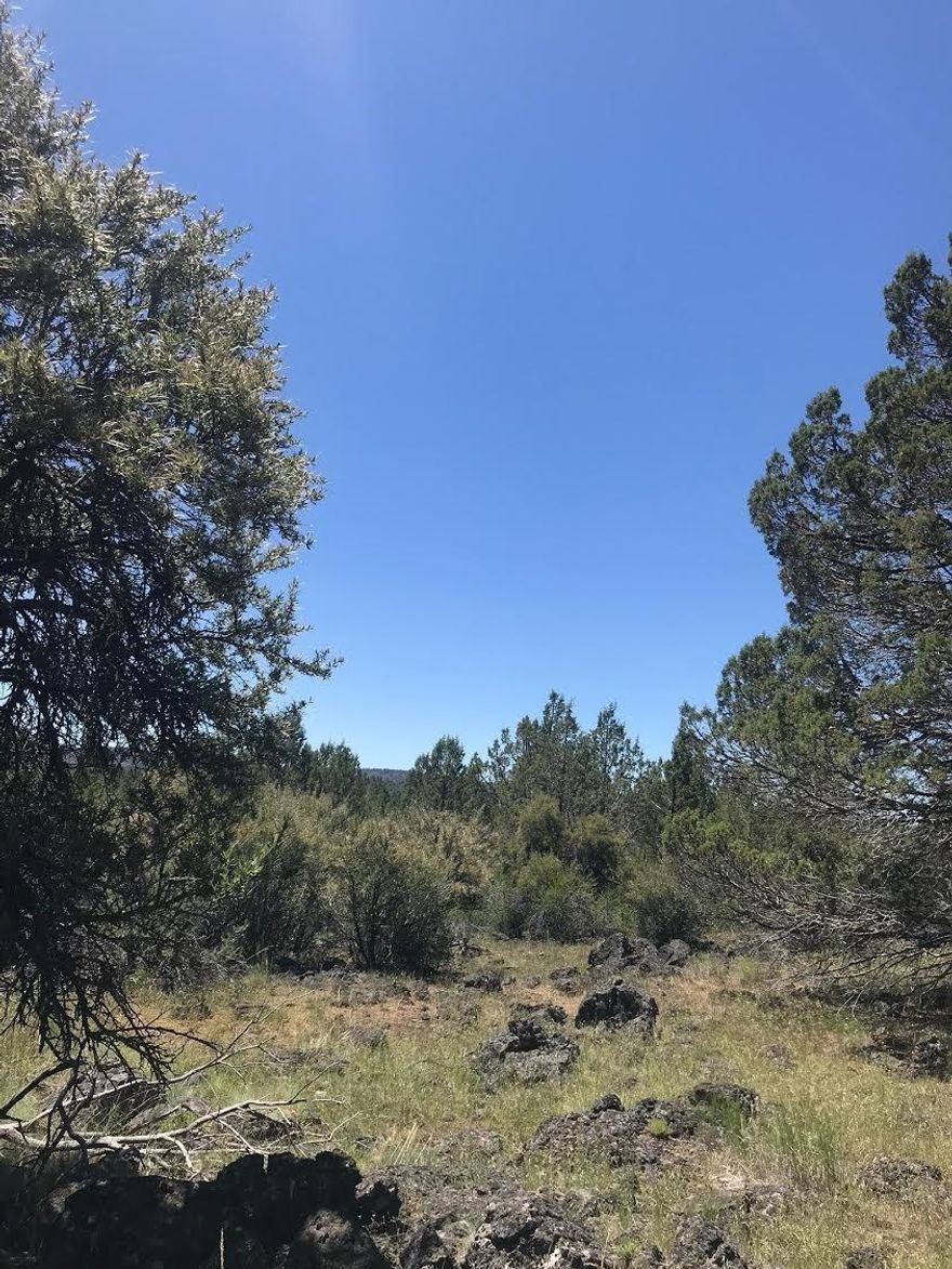 Power and telephone have already been installed on this nicely treed lot in an area known for good wells, just waiting for the new owner to complete their dream! The lot is slightly sloped which makes for a nice view of the area below. There is year round road maintenance provided throughout the subdivision.