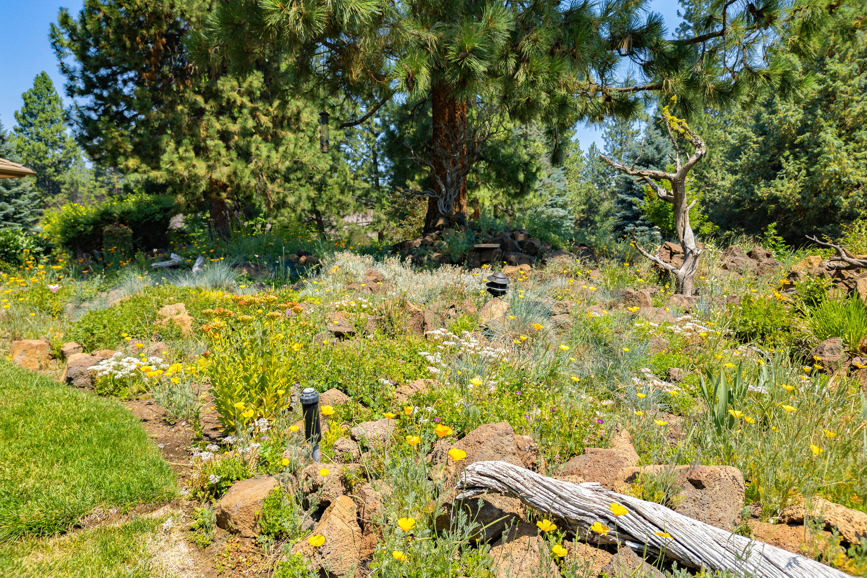 Mtn High - Residential