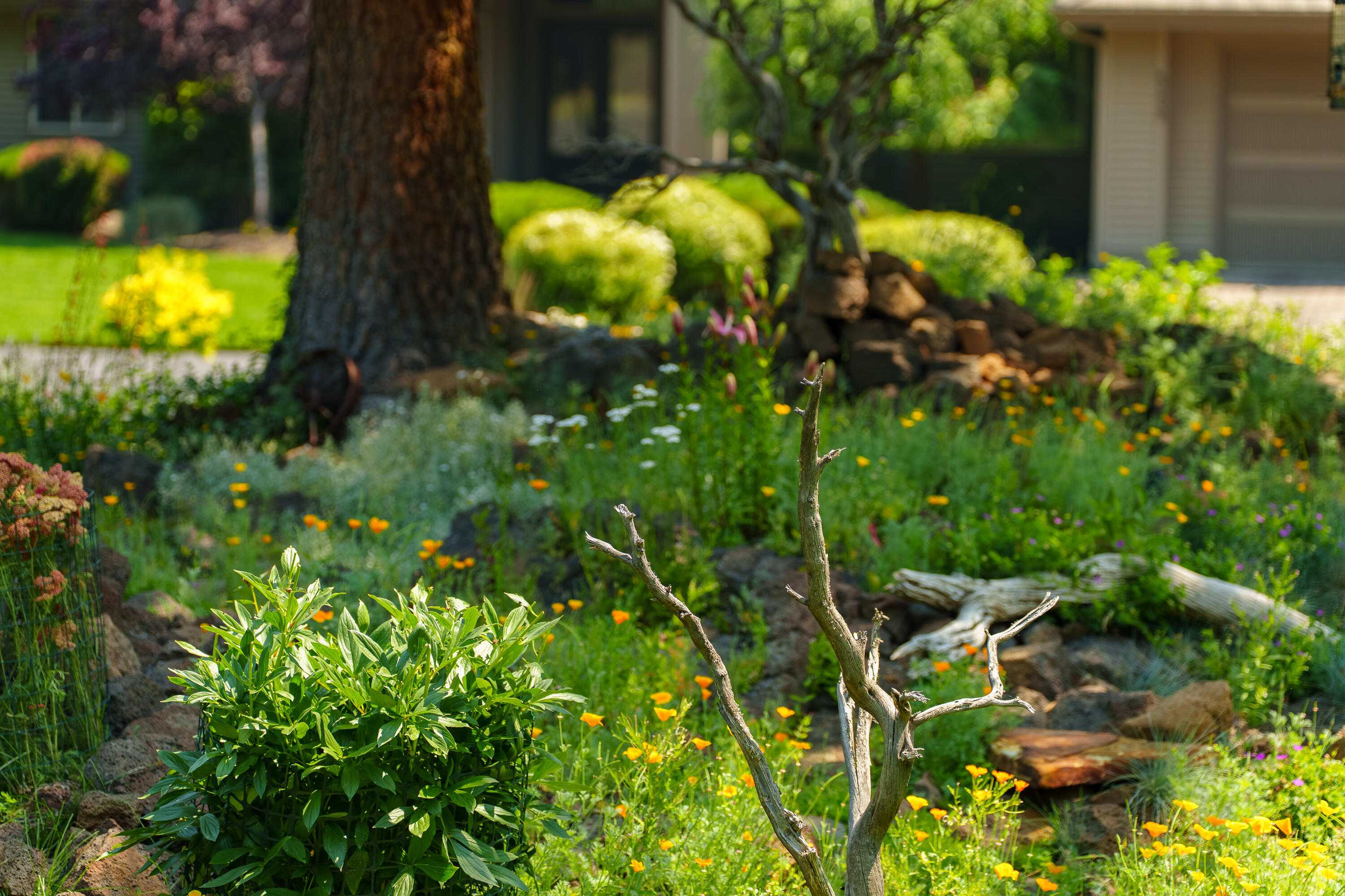 Mtn High - Residential