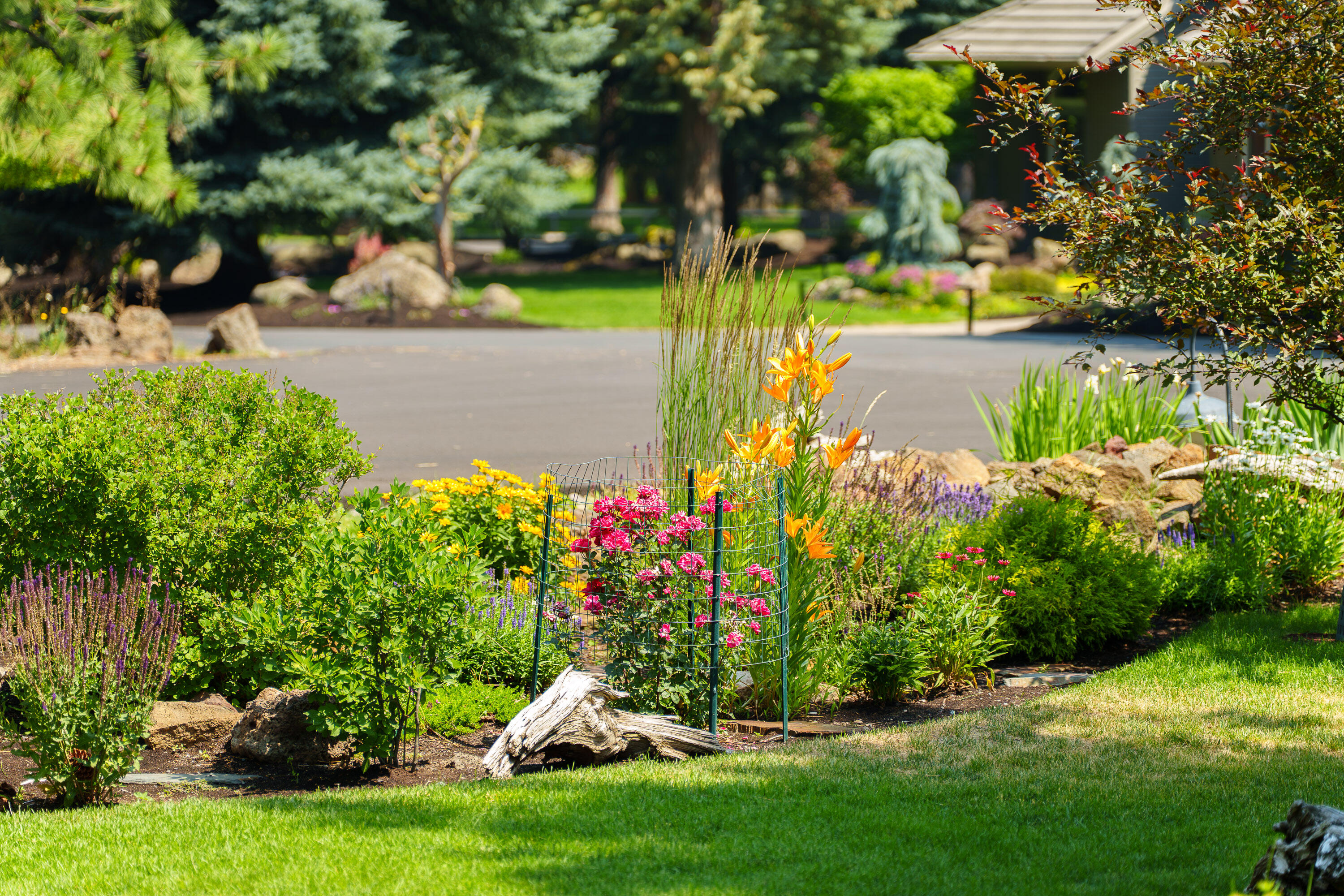 Mtn High - Residential