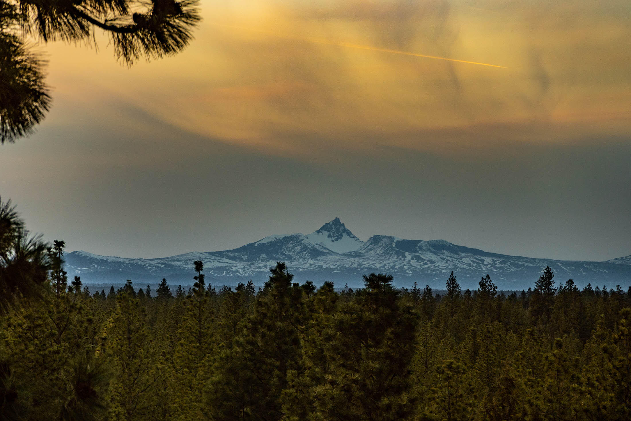 Renaissance@Shevlin - Residential