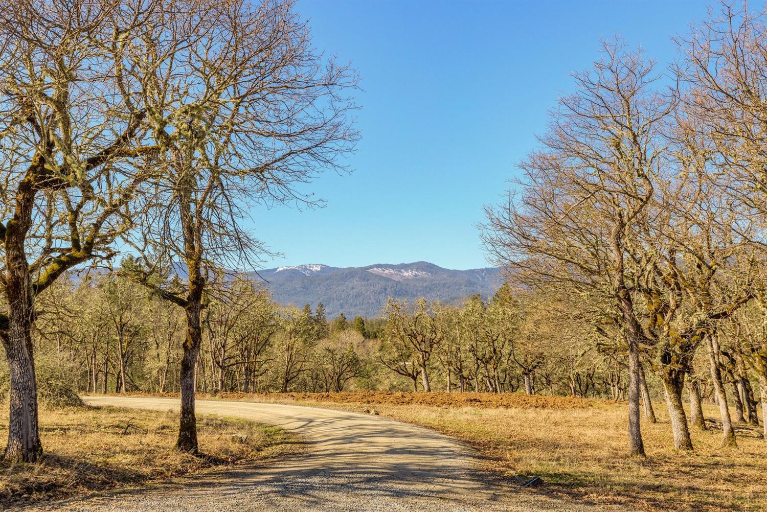 Vencill Lane Major Land Partition - Residential