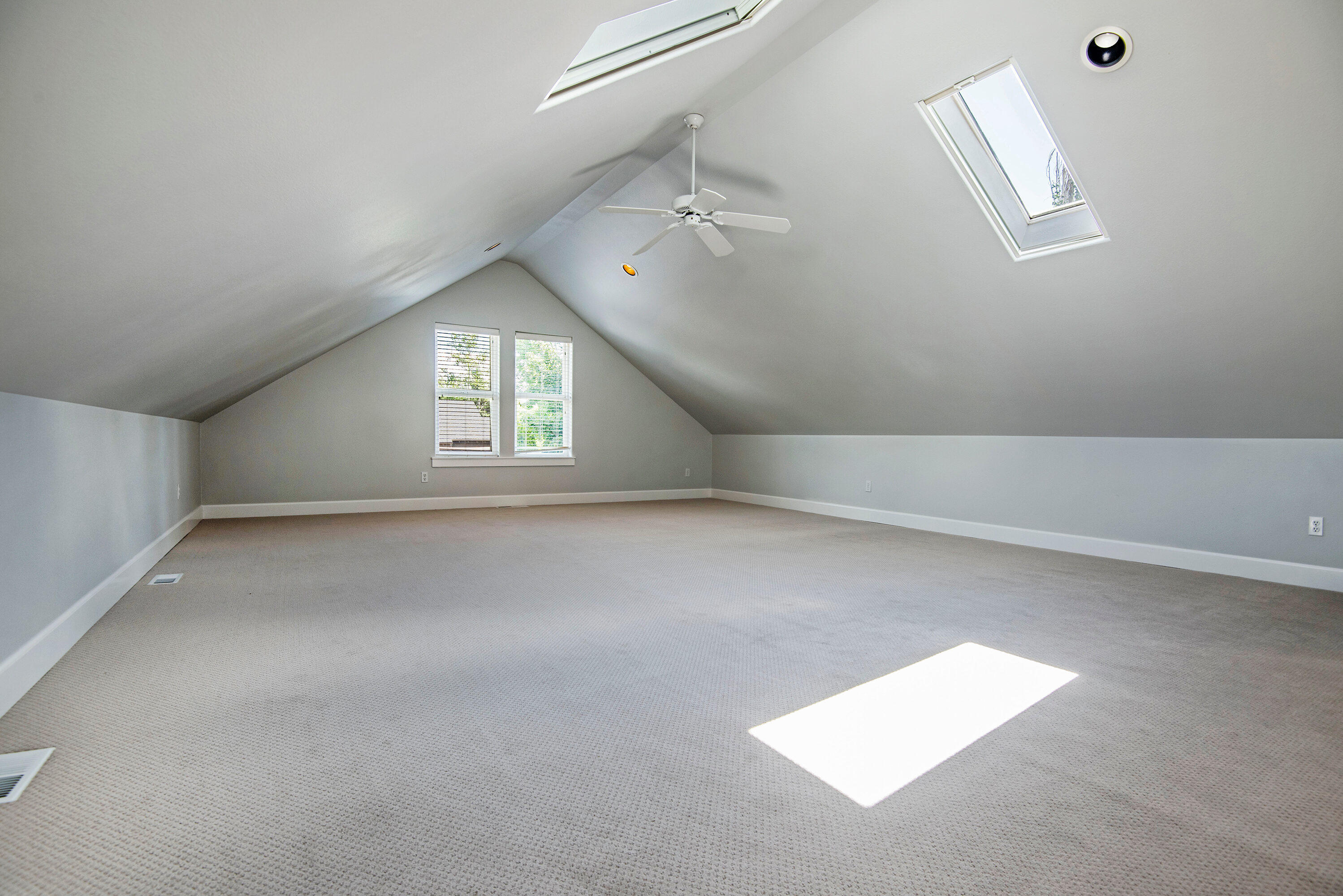 Oak Tree - Residential