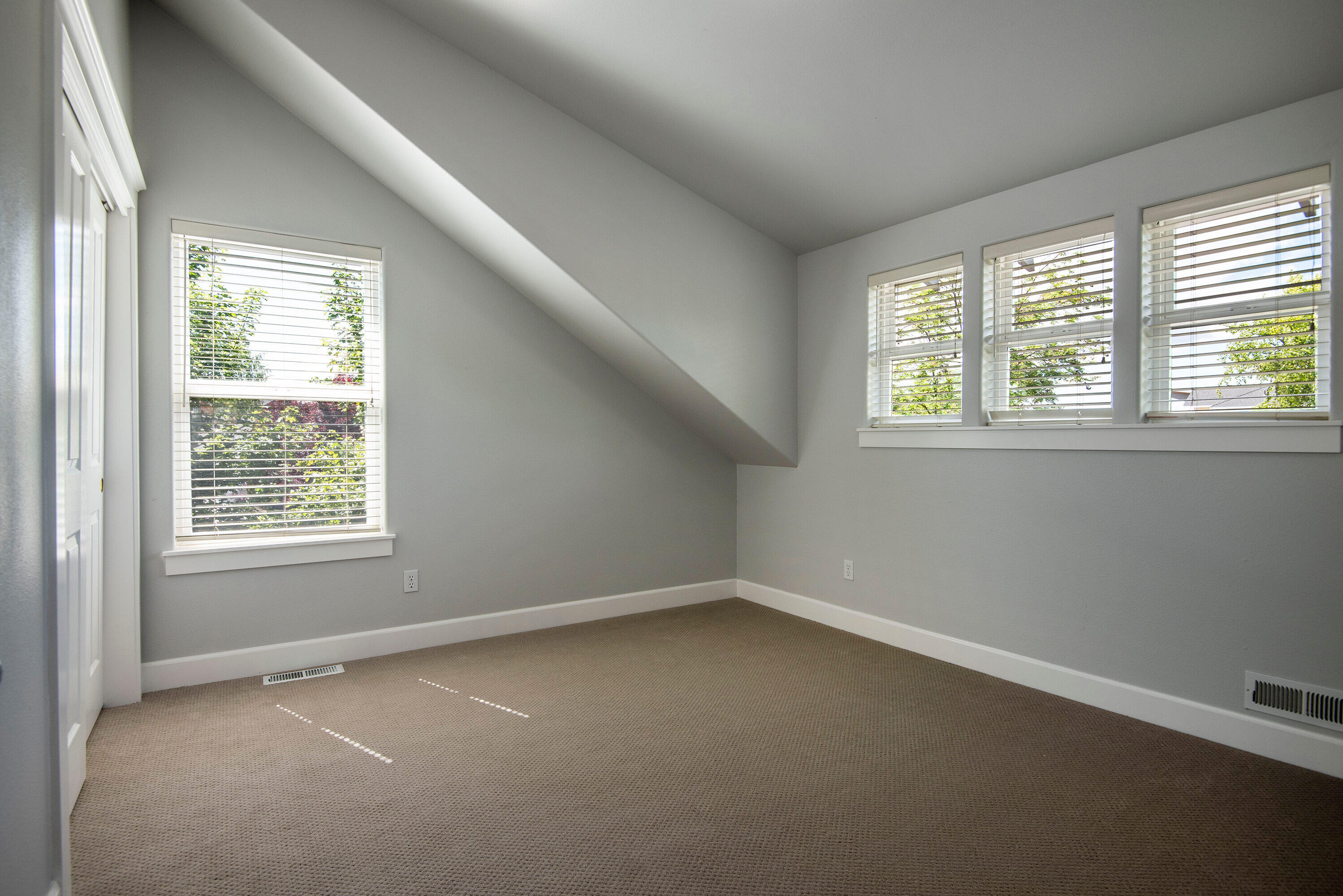 Oak Tree - Residential