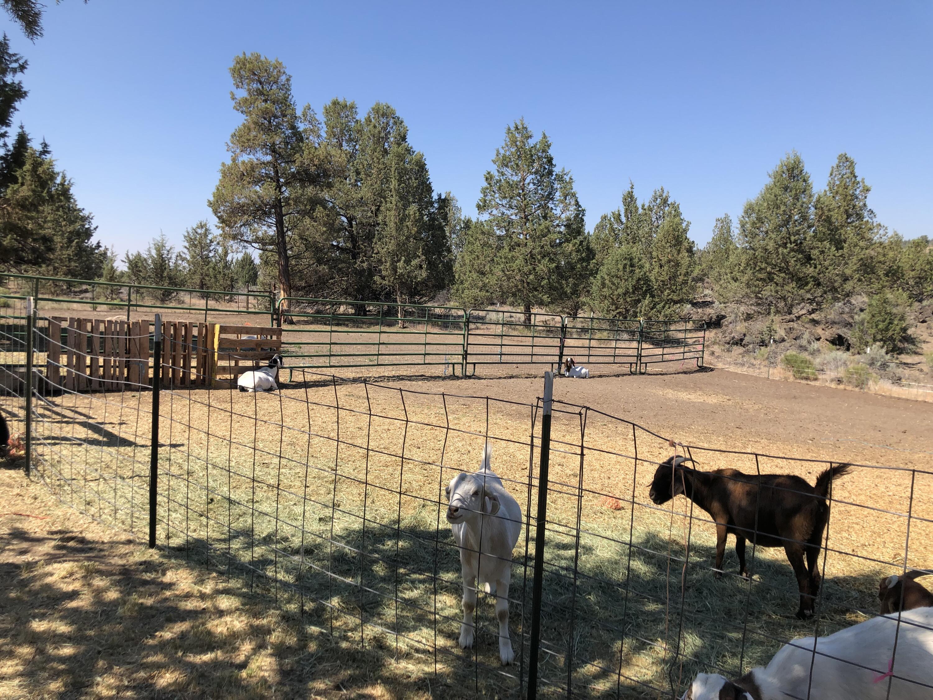 Crooked River Ranch - Residential