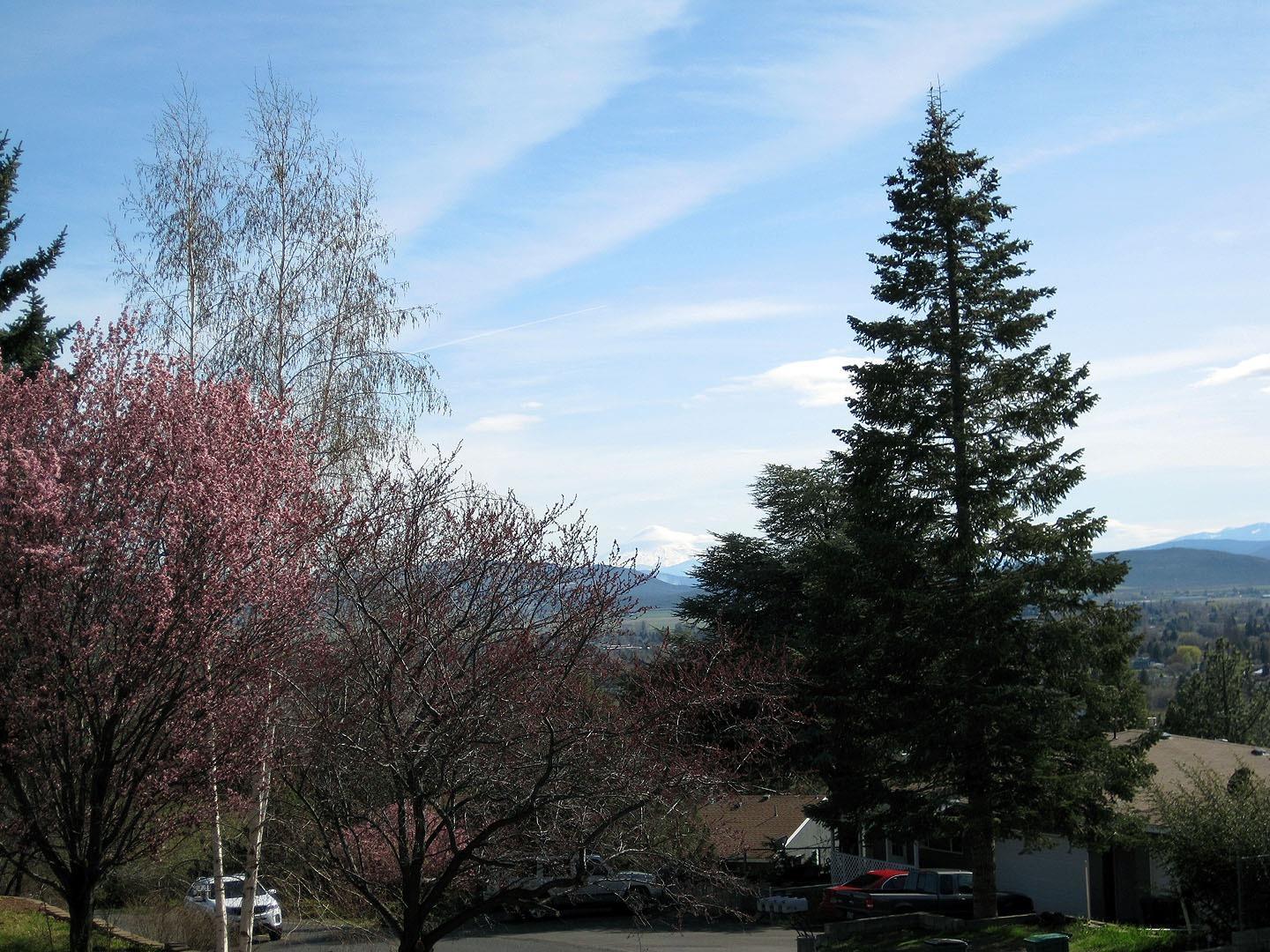 Moyina - Residential