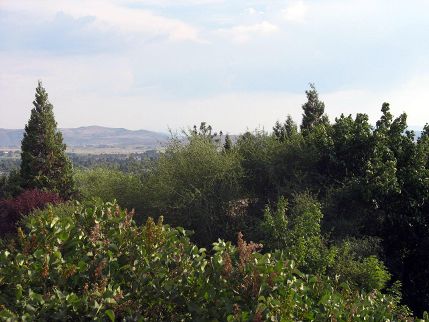 Winema Gardens - Residential Income