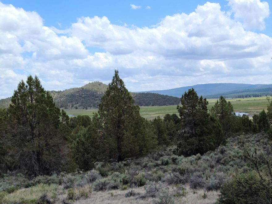 Nicely treed hillside property with views of the Sprague River and valley.  Perfect spot to get away from the hustle and bustle of the cities and enjoy the peace and quiet.